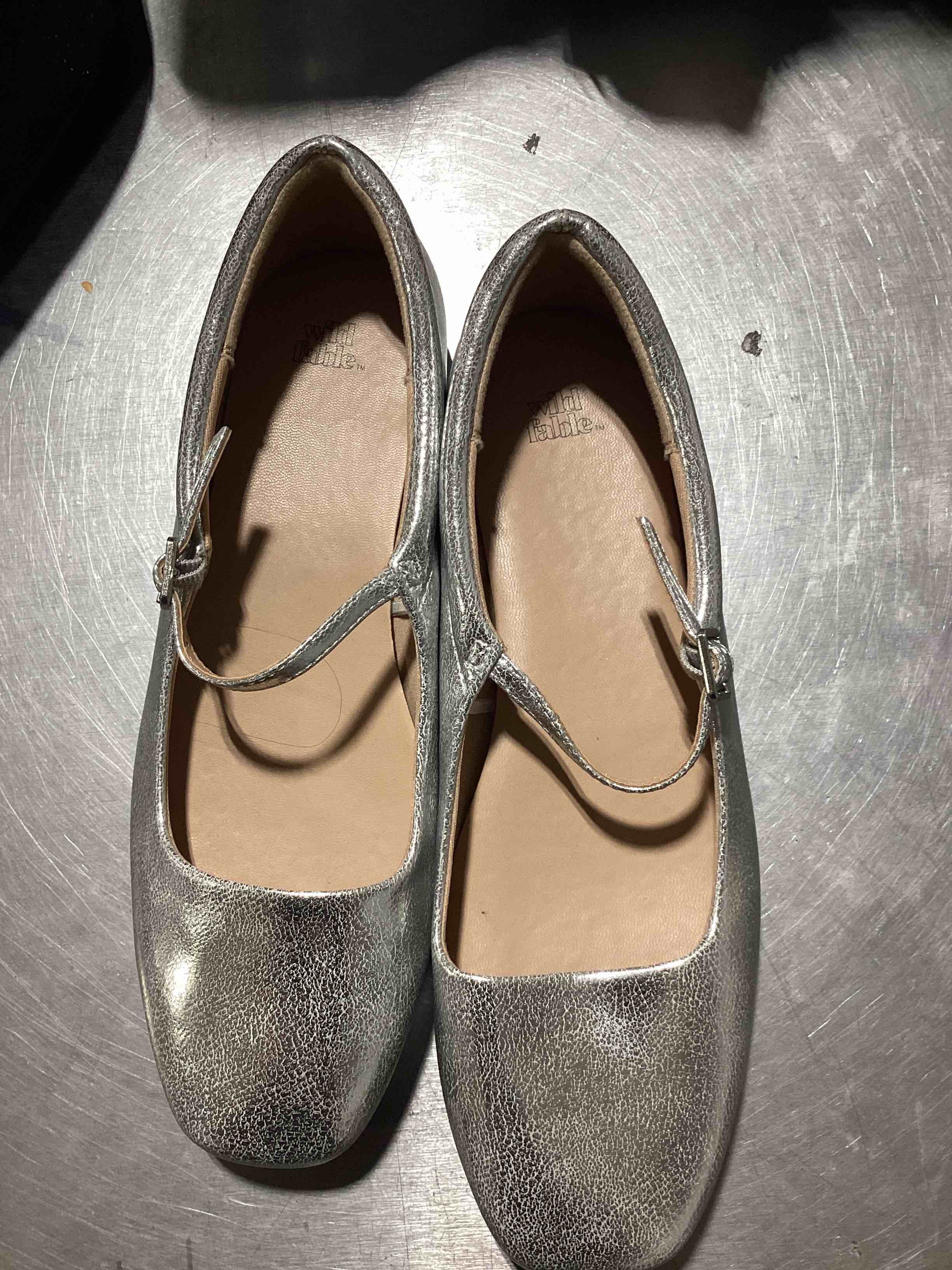 Wild fable sliver shoes