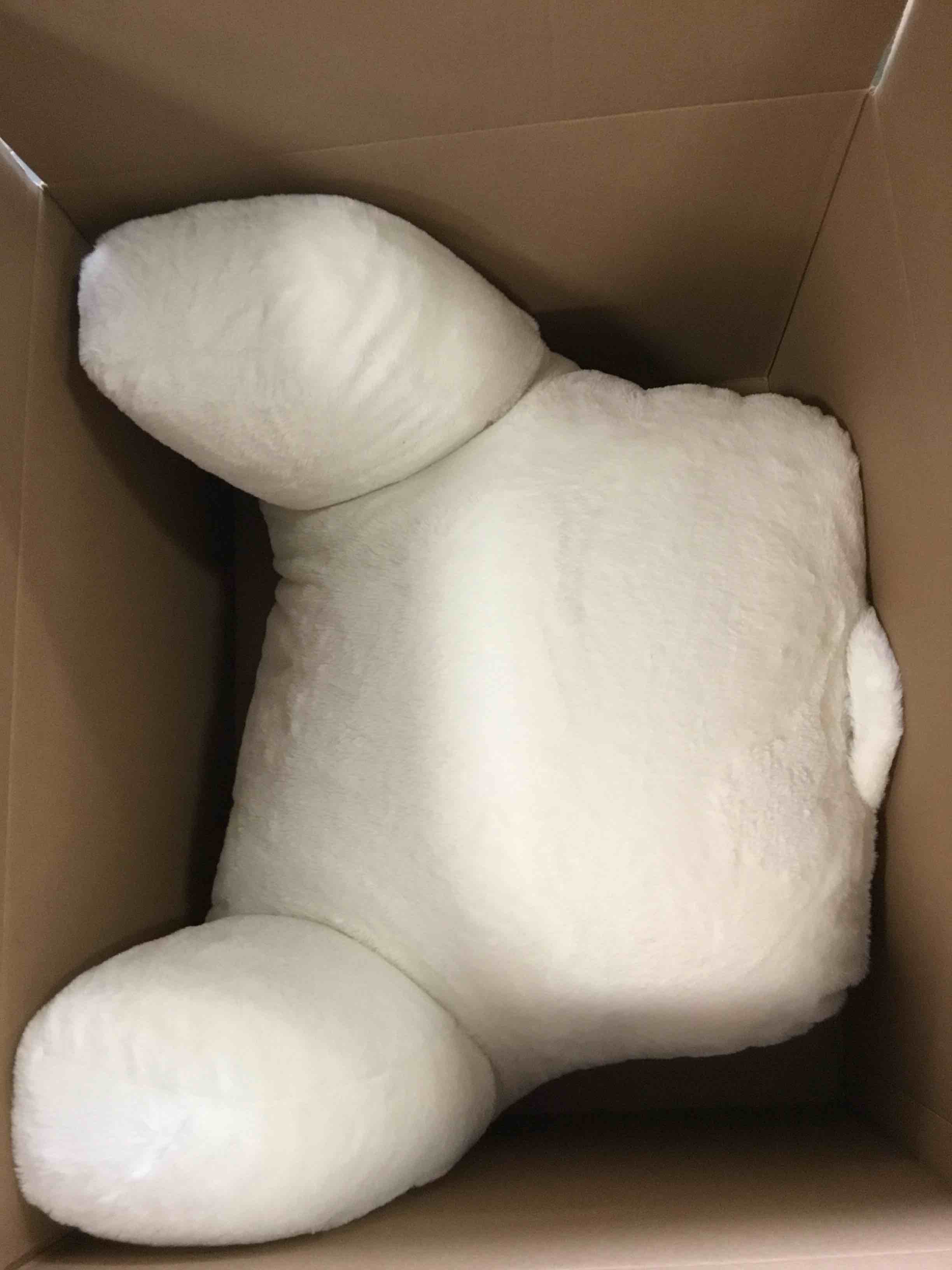 https://s3.amazonaws.com/lotting-images-prod/bidfta/PNK1862021_1745941671414.jpeg