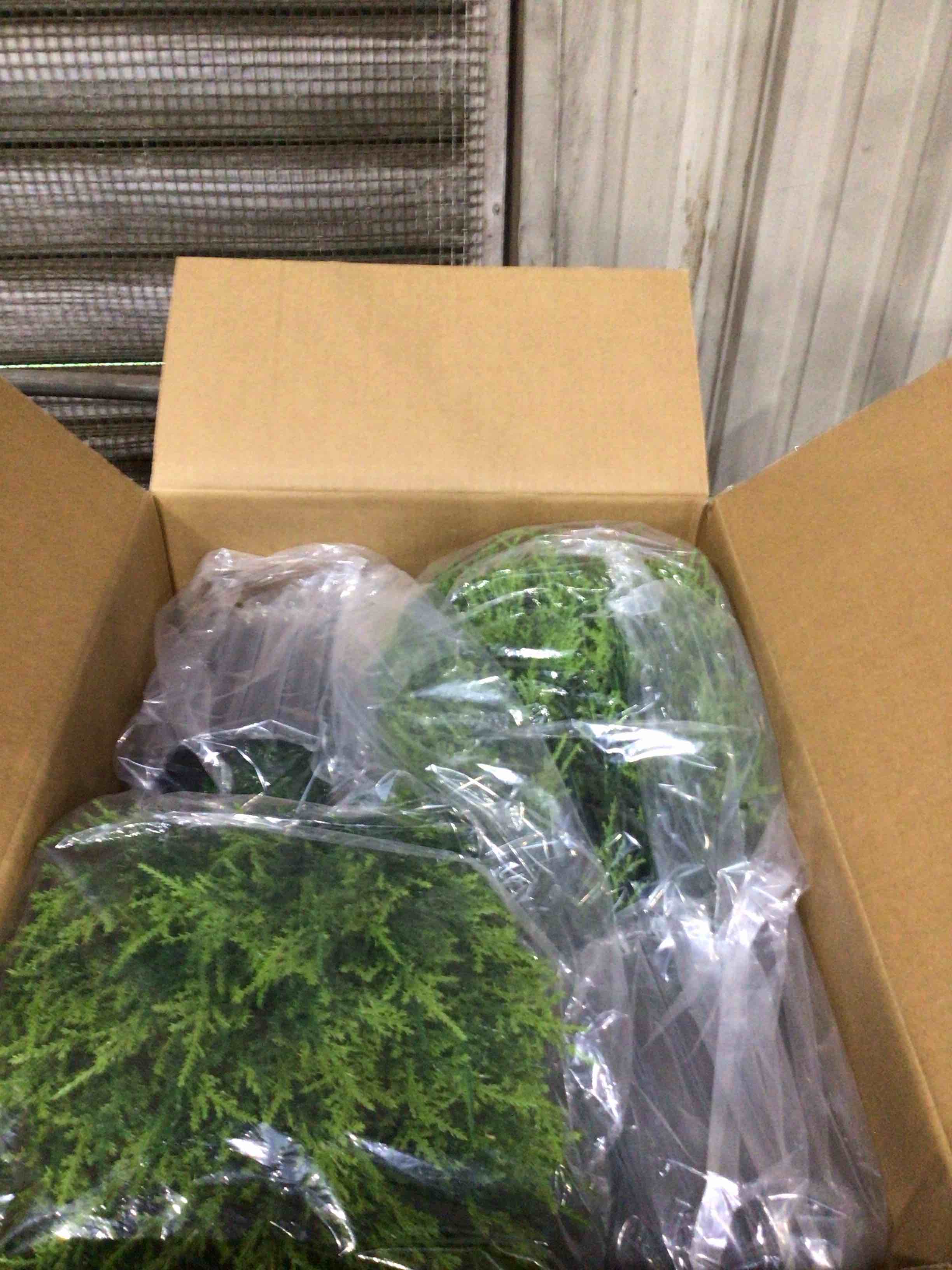 https://s3.amazonaws.com/lotting-images-prod/bidfta/PNK1866814_1751988488820.jpeg