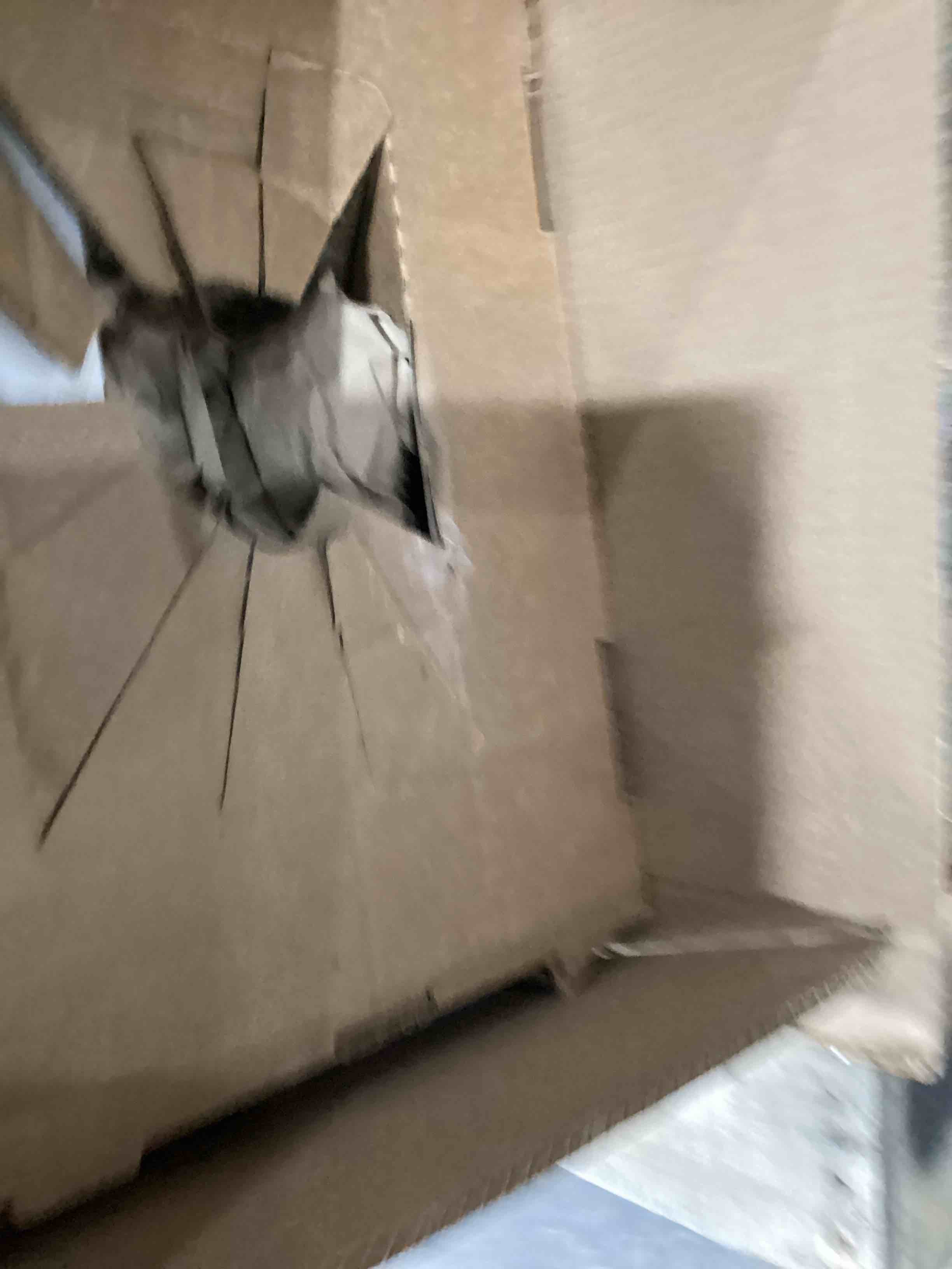 https://s3.amazonaws.com/lotting-images-prod/bidfta/PNK1915287_1757074346099.jpeg