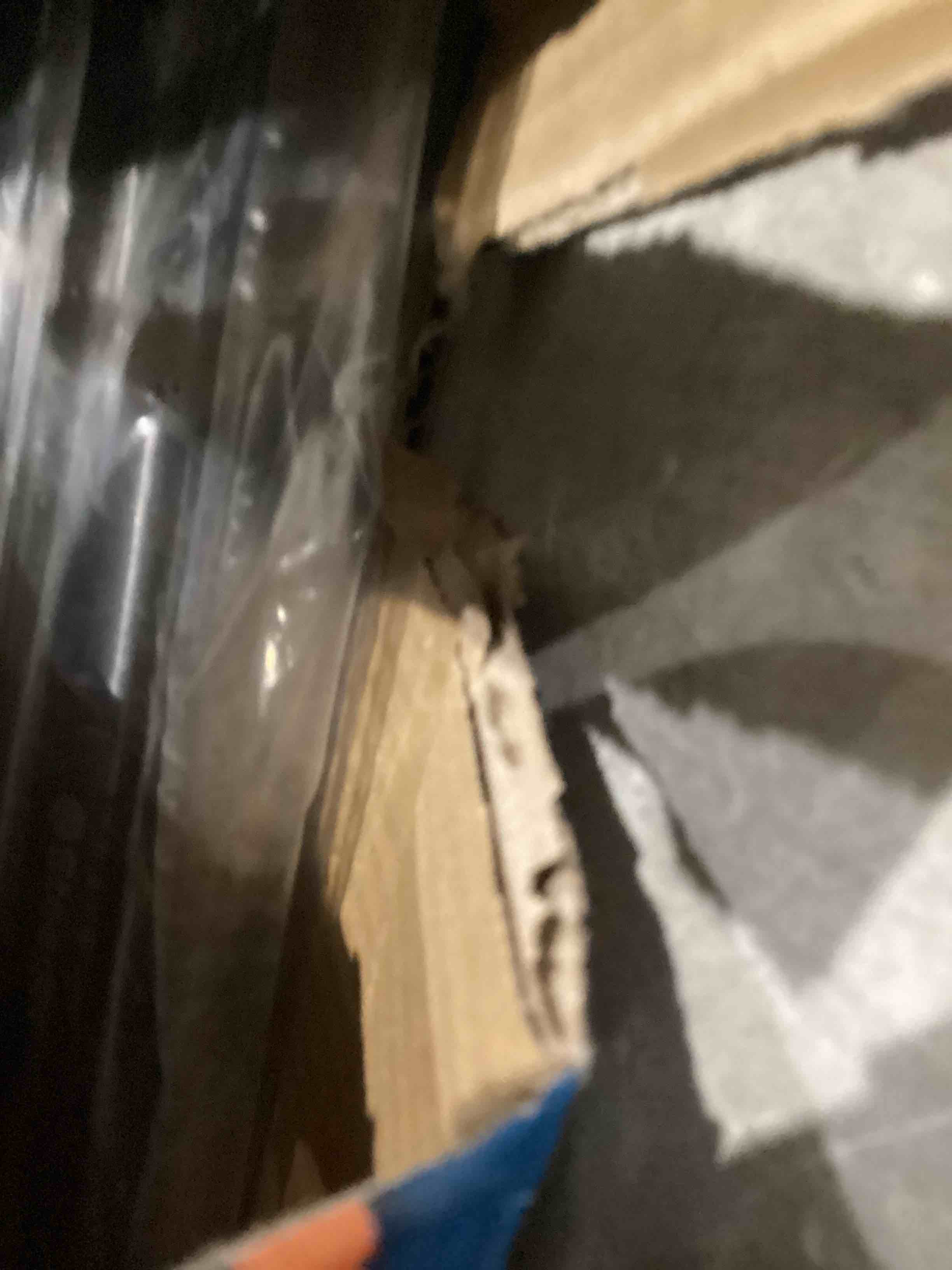 https://s3.amazonaws.com/lotting-images-prod/bidfta/PNK1915515_1757425909637.jpeg