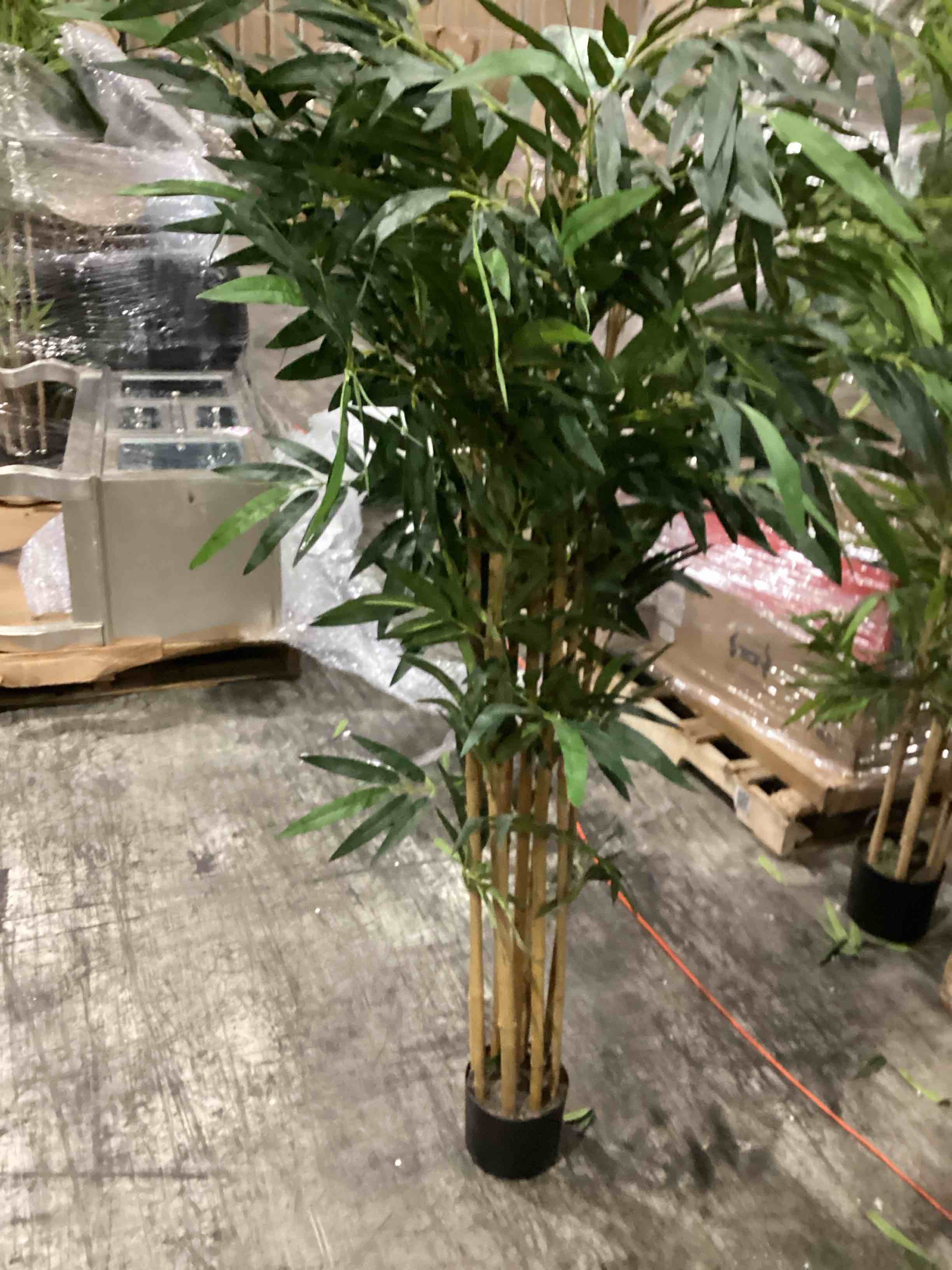 pe potted bamboo tree 38 inw 70 inch 