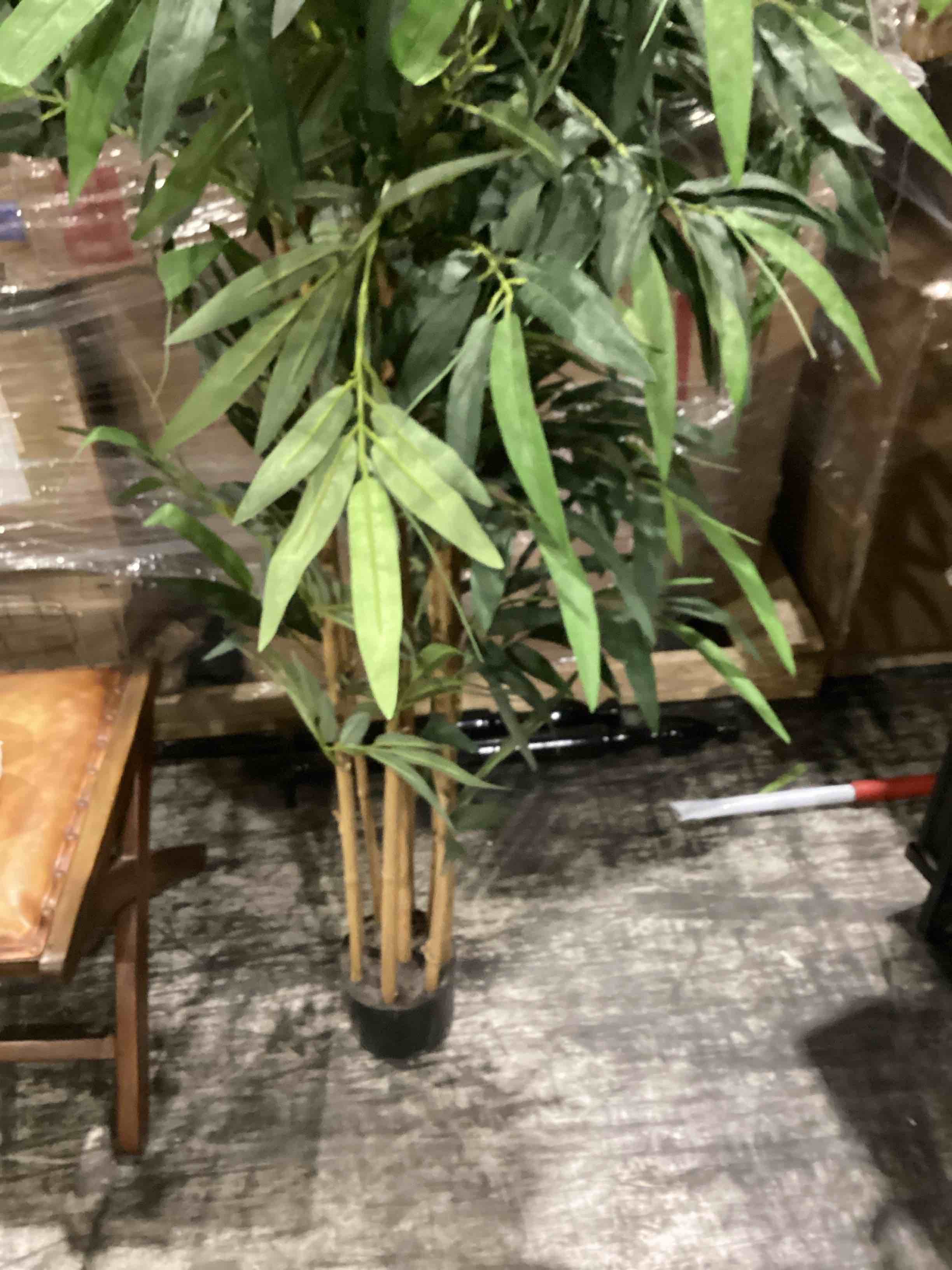 Uma faux bamboo plant 5”3 
