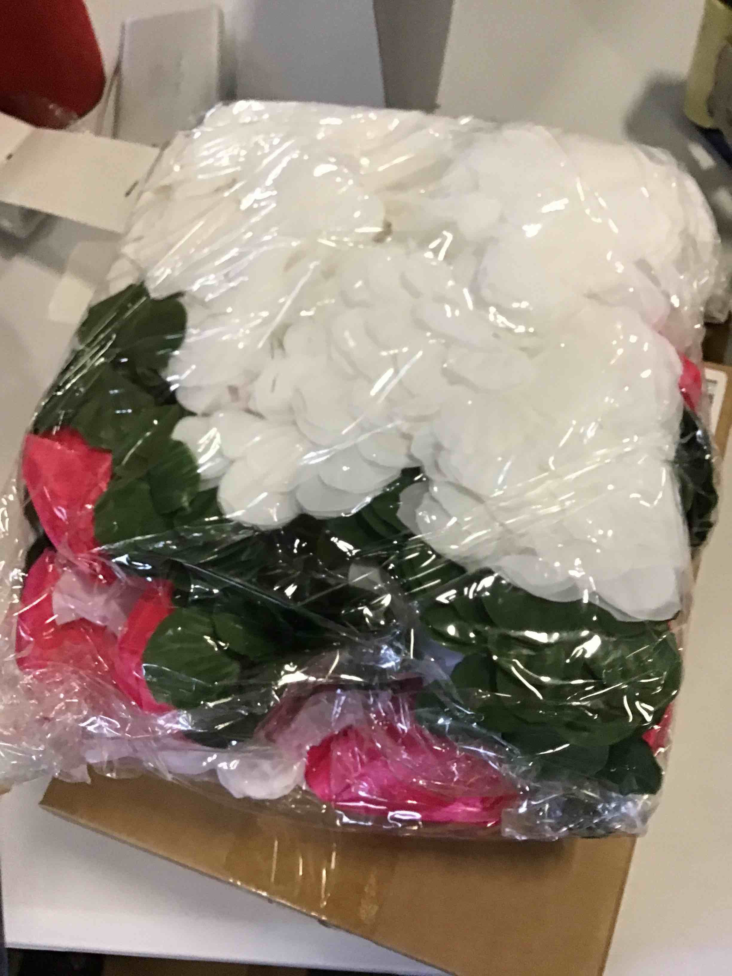 https://s3.amazonaws.com/lotting-images-prod/bidfta/PNK1975933_1745414240870.jpeg