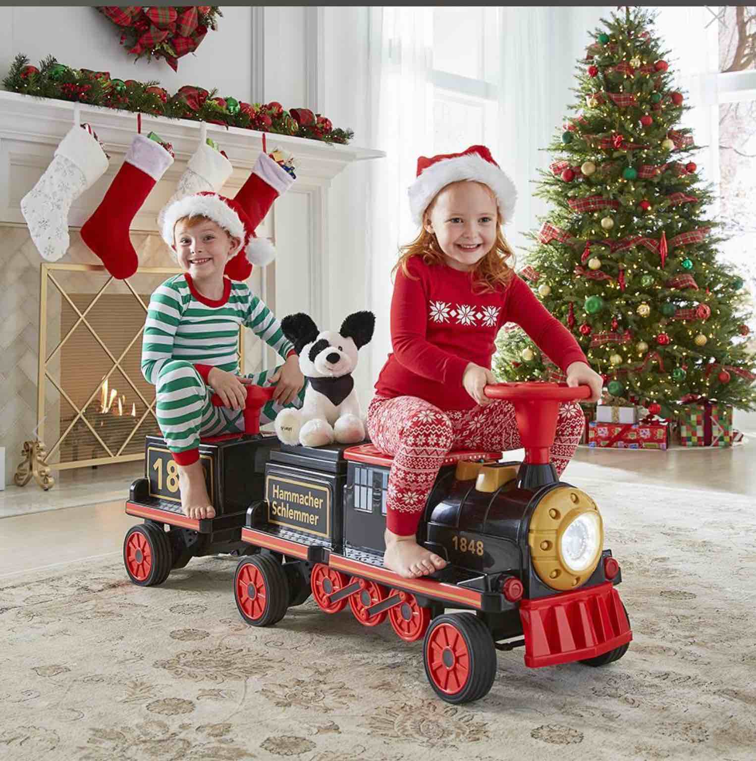 The Hammacher Schlemmer Three Passenger Electric Ride On Train