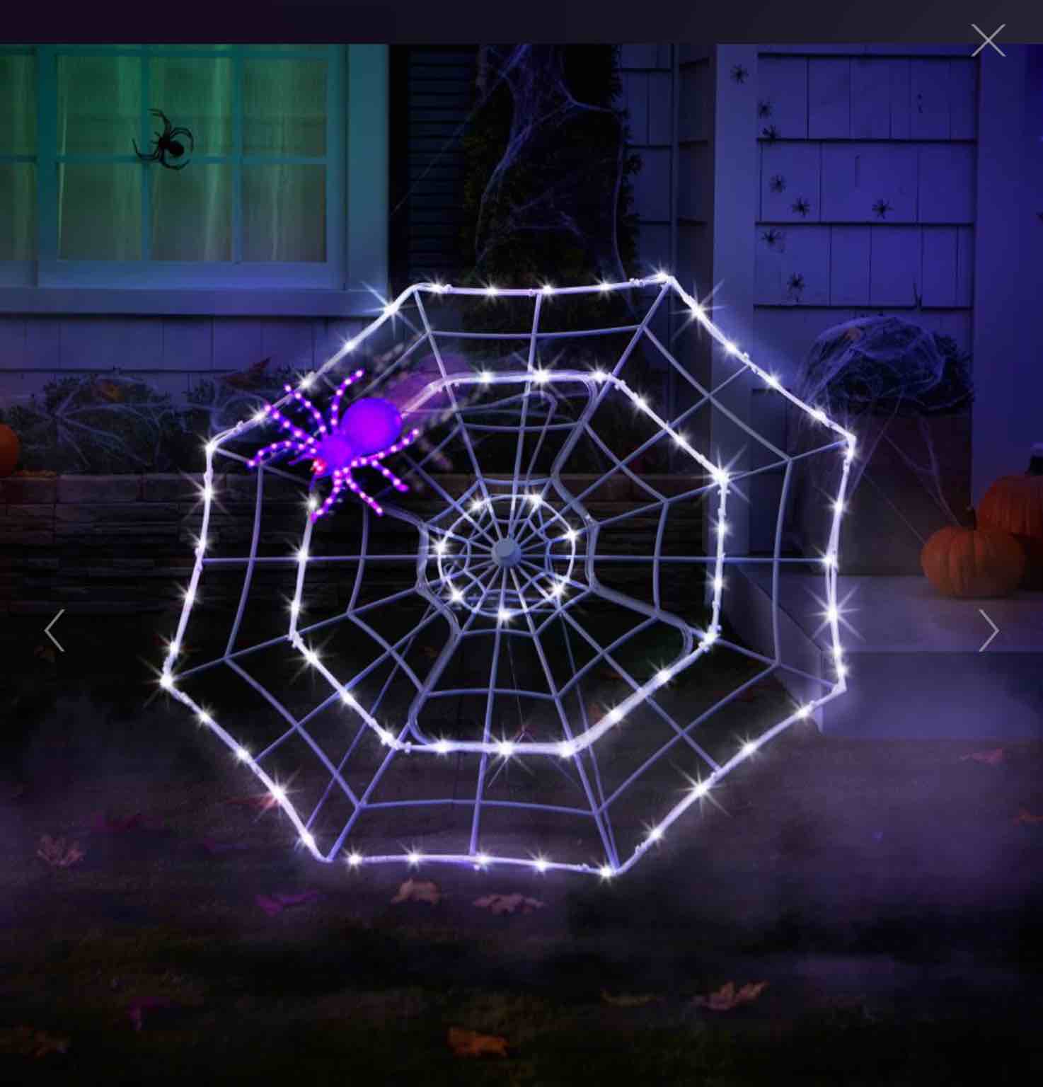The 4' Animated Crawling Spider's Web