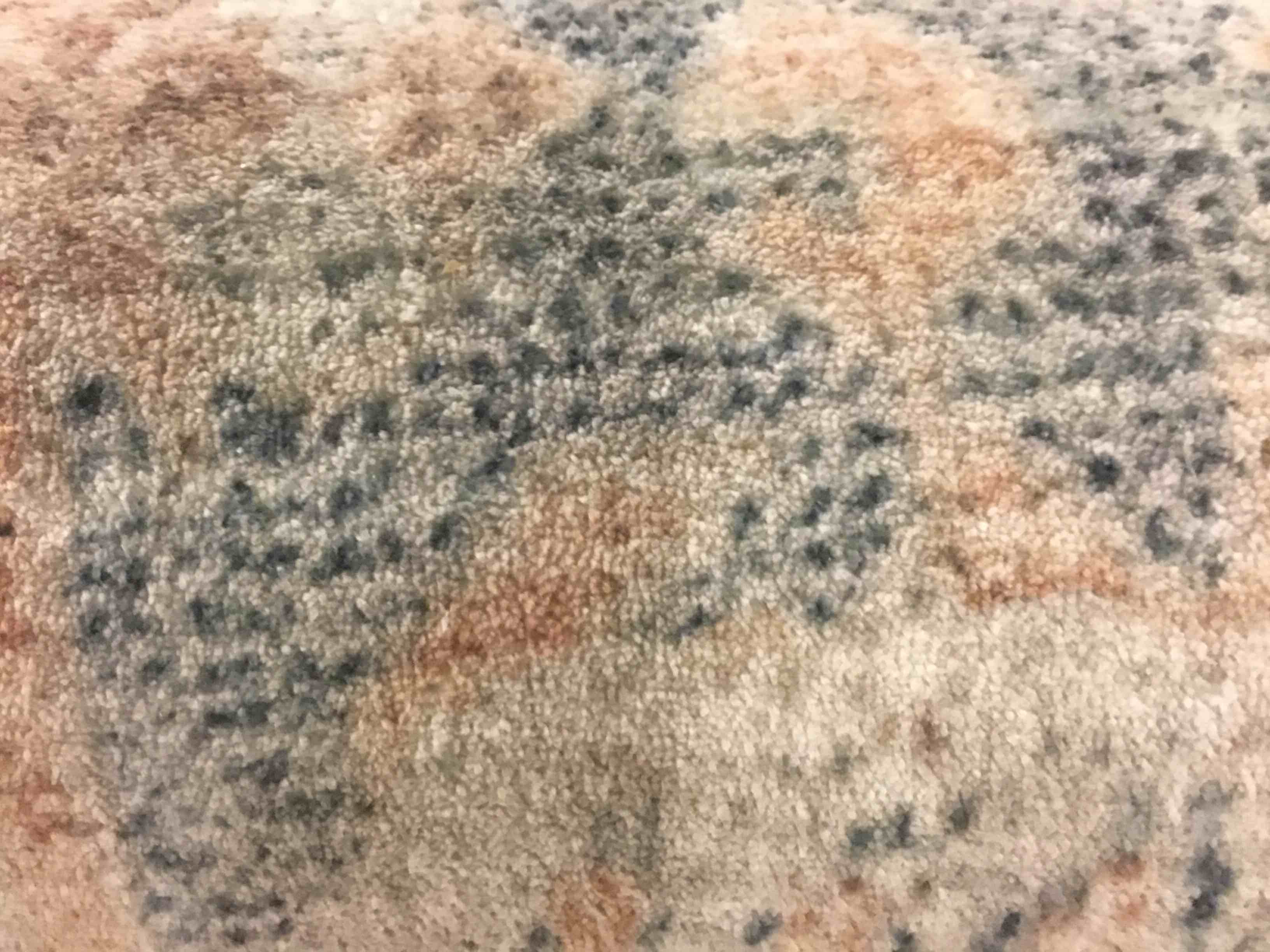 Area Rug (warehouse dirt)