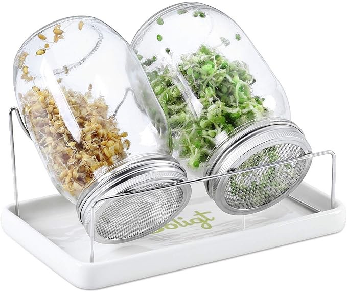 Complete Mason Jar Sprouting Kit - 2 Wide Mouth Quart Sprouting Jars with 316 Stainless Steel Sprouting Lids, Ceramic Drip Tray and Stand