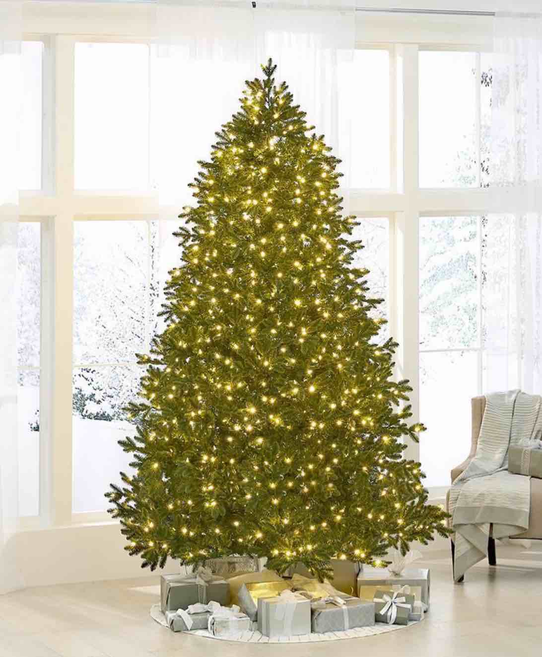 The World's Best Prelit LED Noble Fir