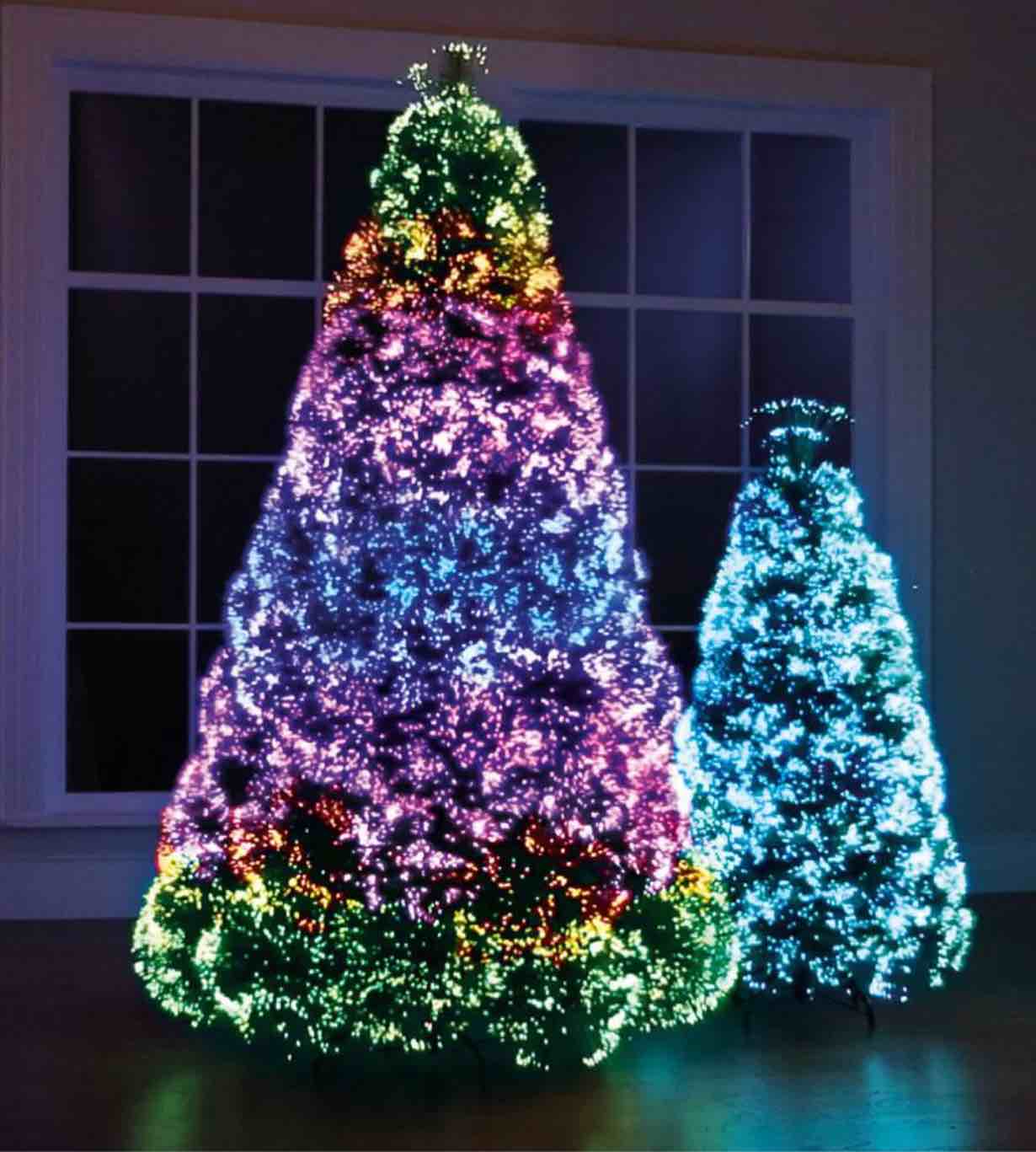 the northern lights christmas trees