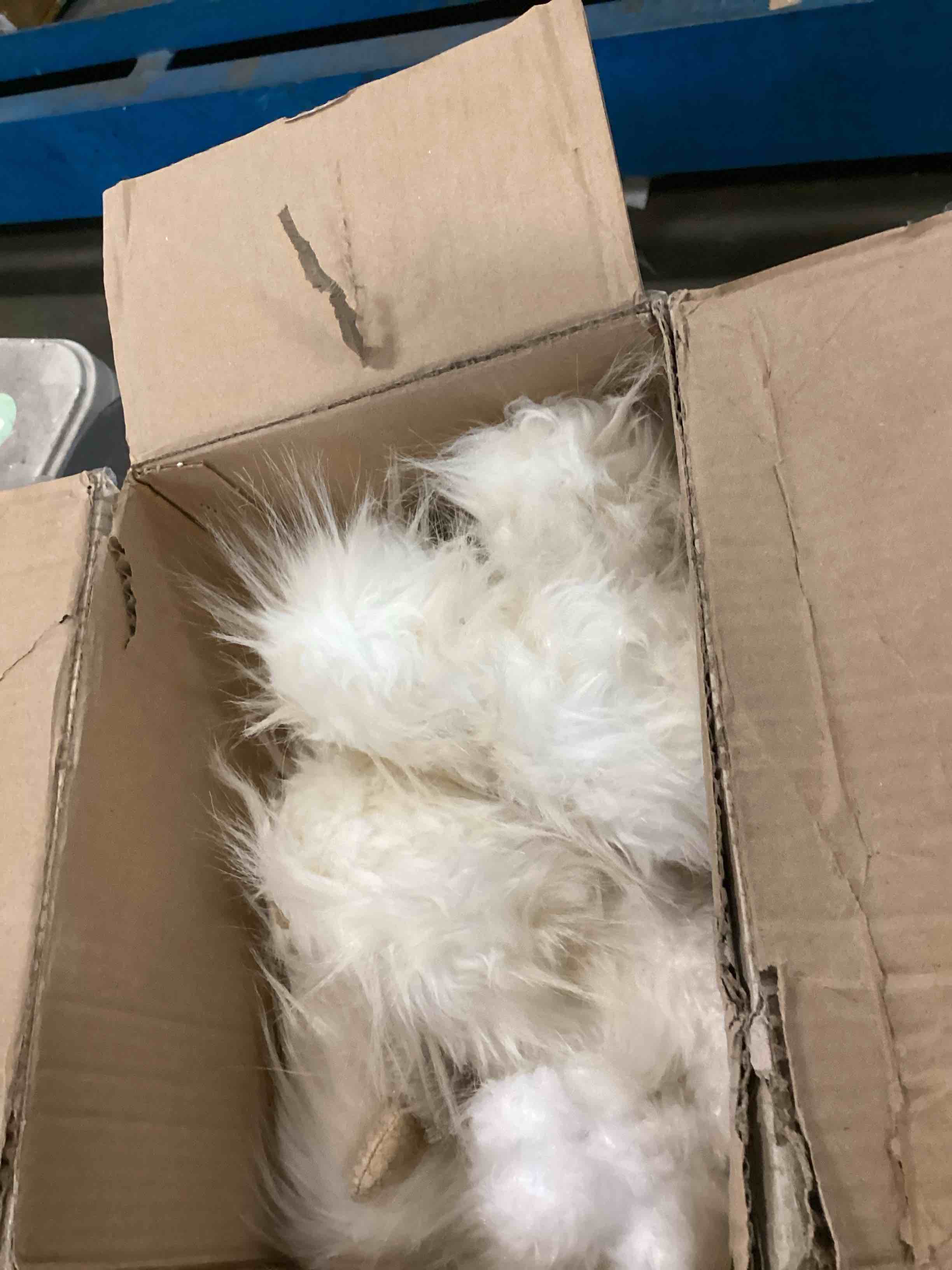 https://s3.amazonaws.com/lotting-images-prod/bidfta/PNK2040230_1742311099693.jpeg