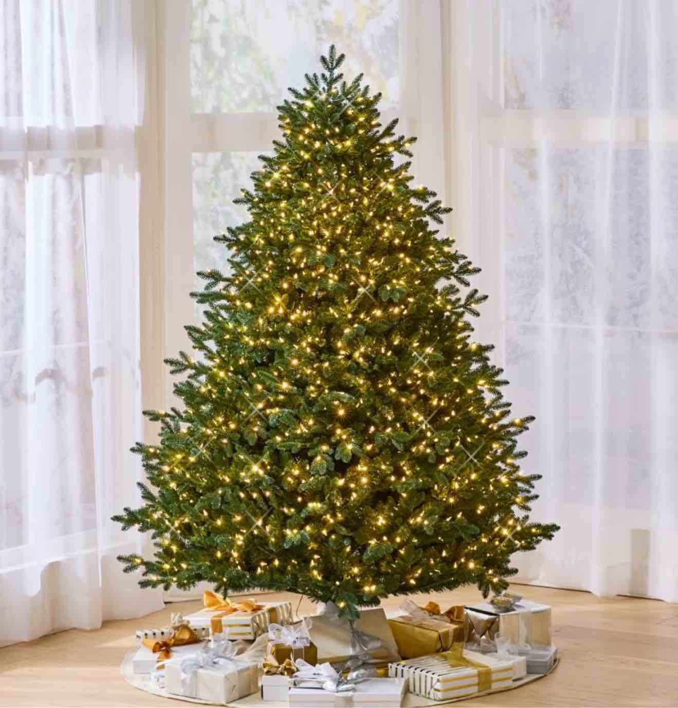 the world's best prelit balsam fir