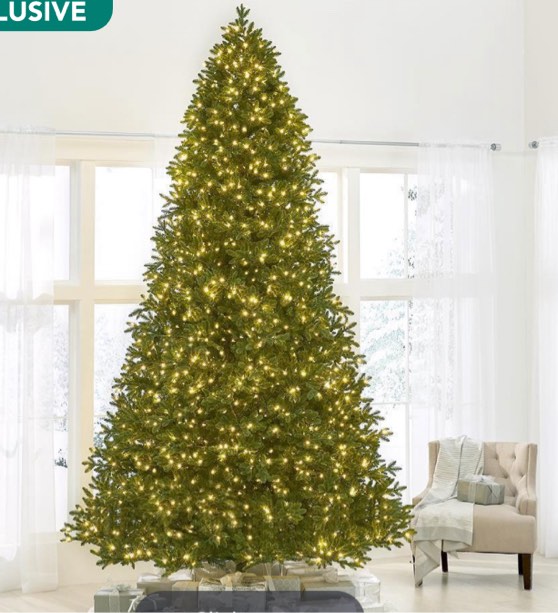 The World's Best Prelit LED Noble Fir