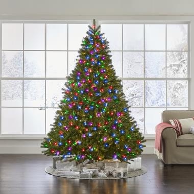 The World's Best Prelit Douglas Fir, 7.5ft 