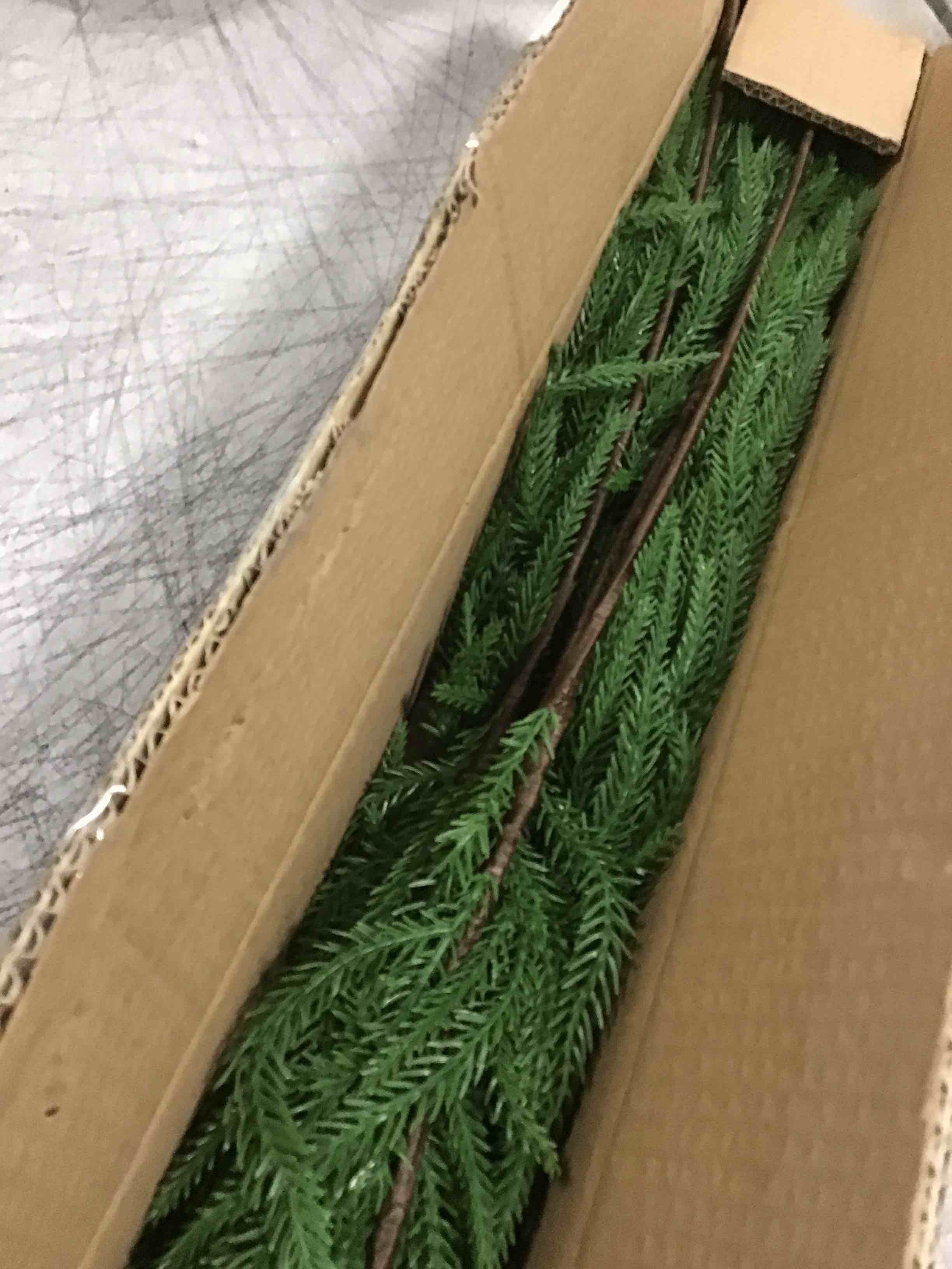 https://s3.amazonaws.com/lotting-images-prod/bidfta/PNK2070898_1739301234044.jpeg