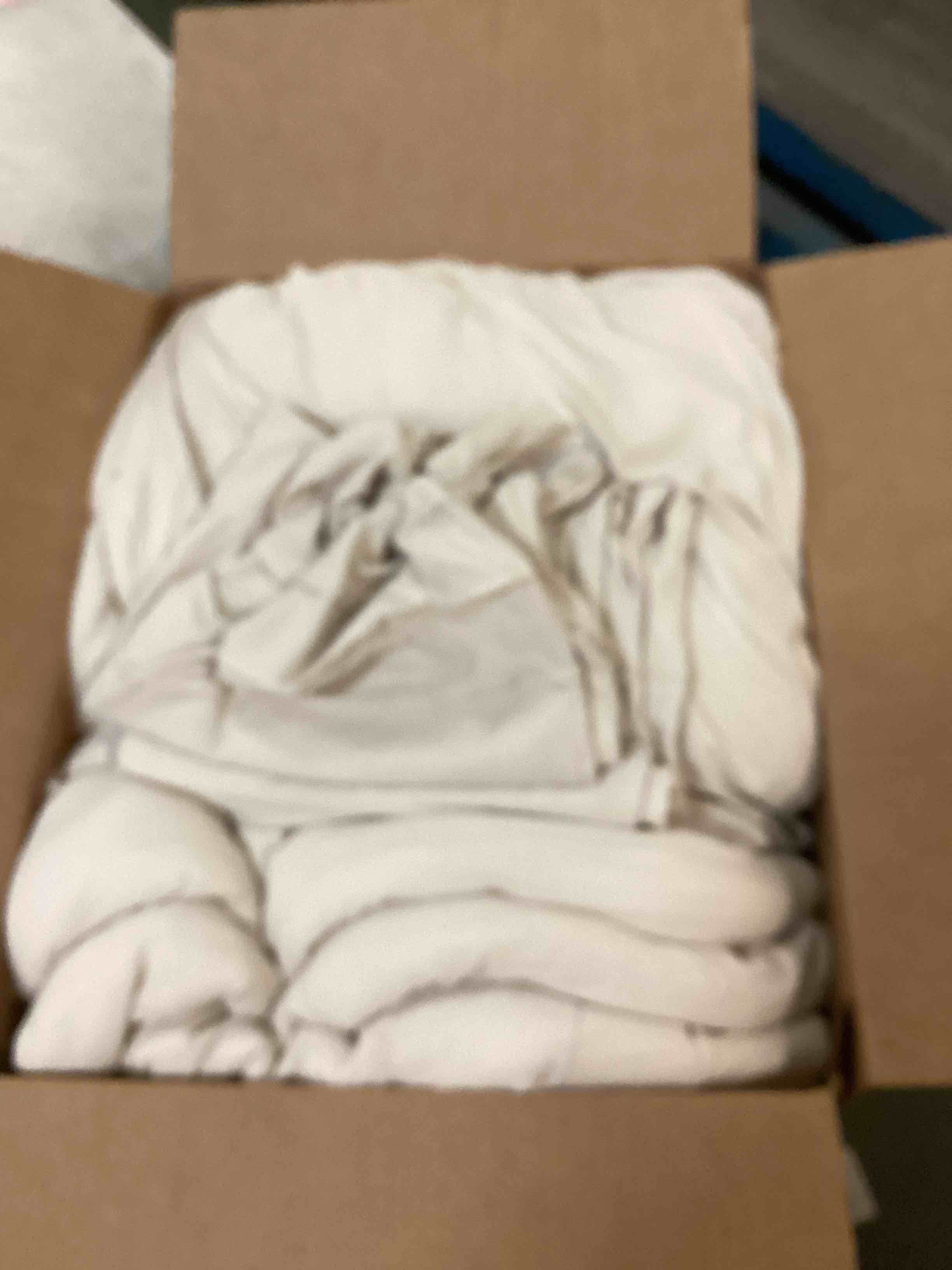 https://s3.amazonaws.com/lotting-images-prod/bidfta/PNK2101370_1738844931279.jpeg