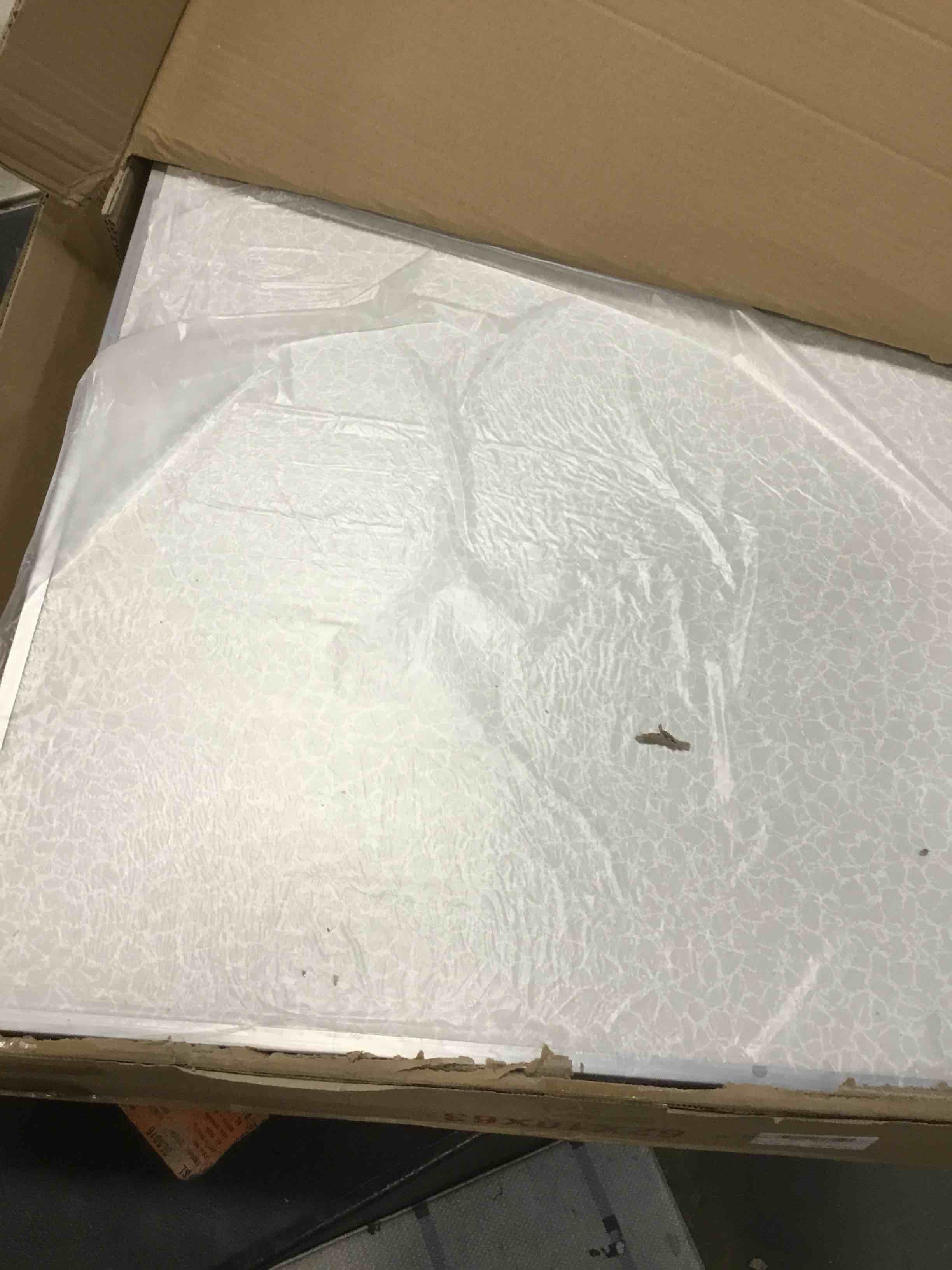 https://s3.amazonaws.com/lotting-images-prod/bidfta/PNK2111872_1739998809873.jpeg