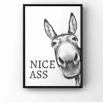 Nice Ass Canvas | Donkey Ass Print | Bathroom Decor | Prints In UK | Bathroom Prints | Wall Art Prints | Donkey Canvas | Frames Available DigiGon