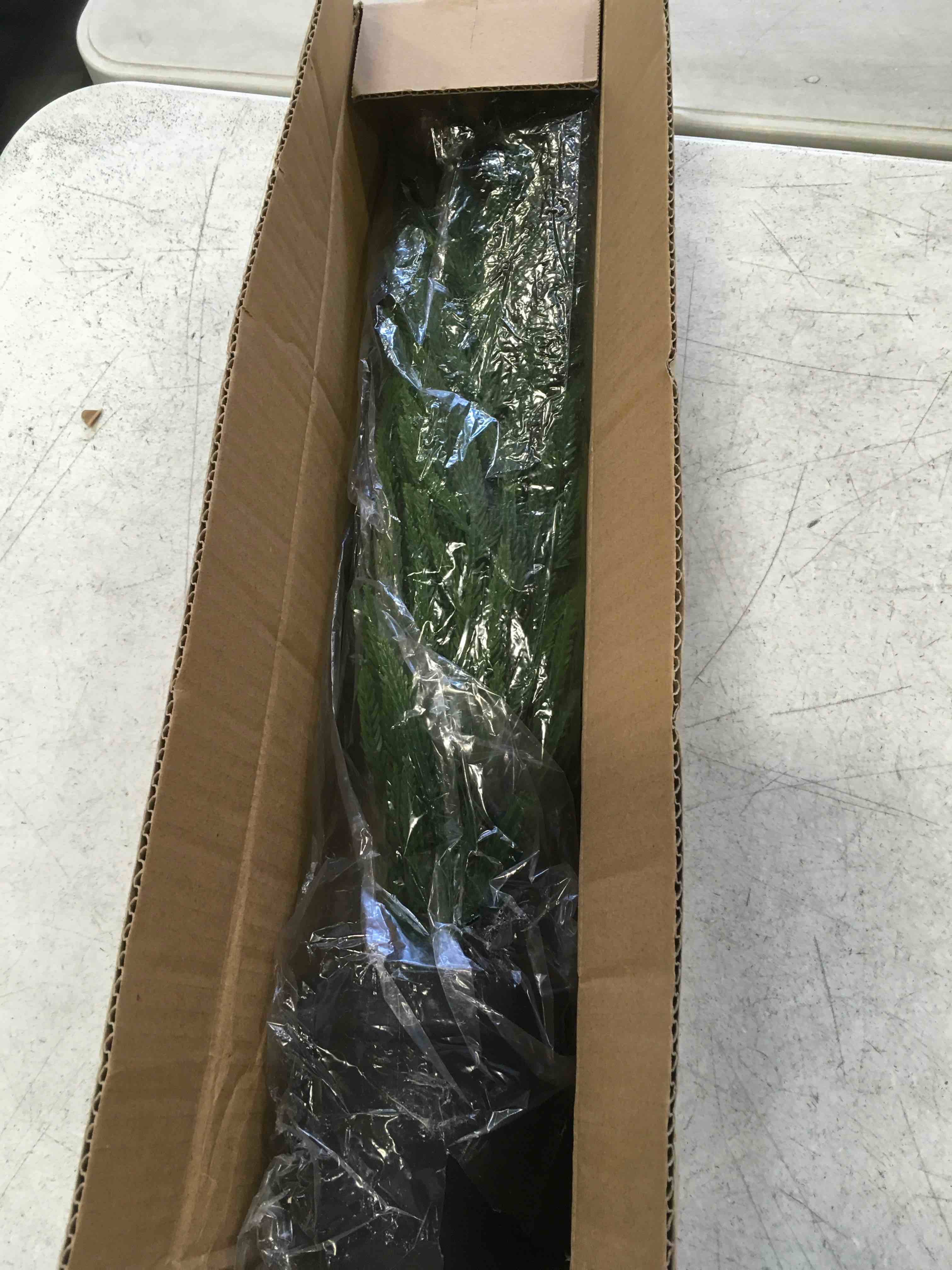https://s3.amazonaws.com/lotting-images-prod/bidfta/PNK2136153_1740771158521.jpeg