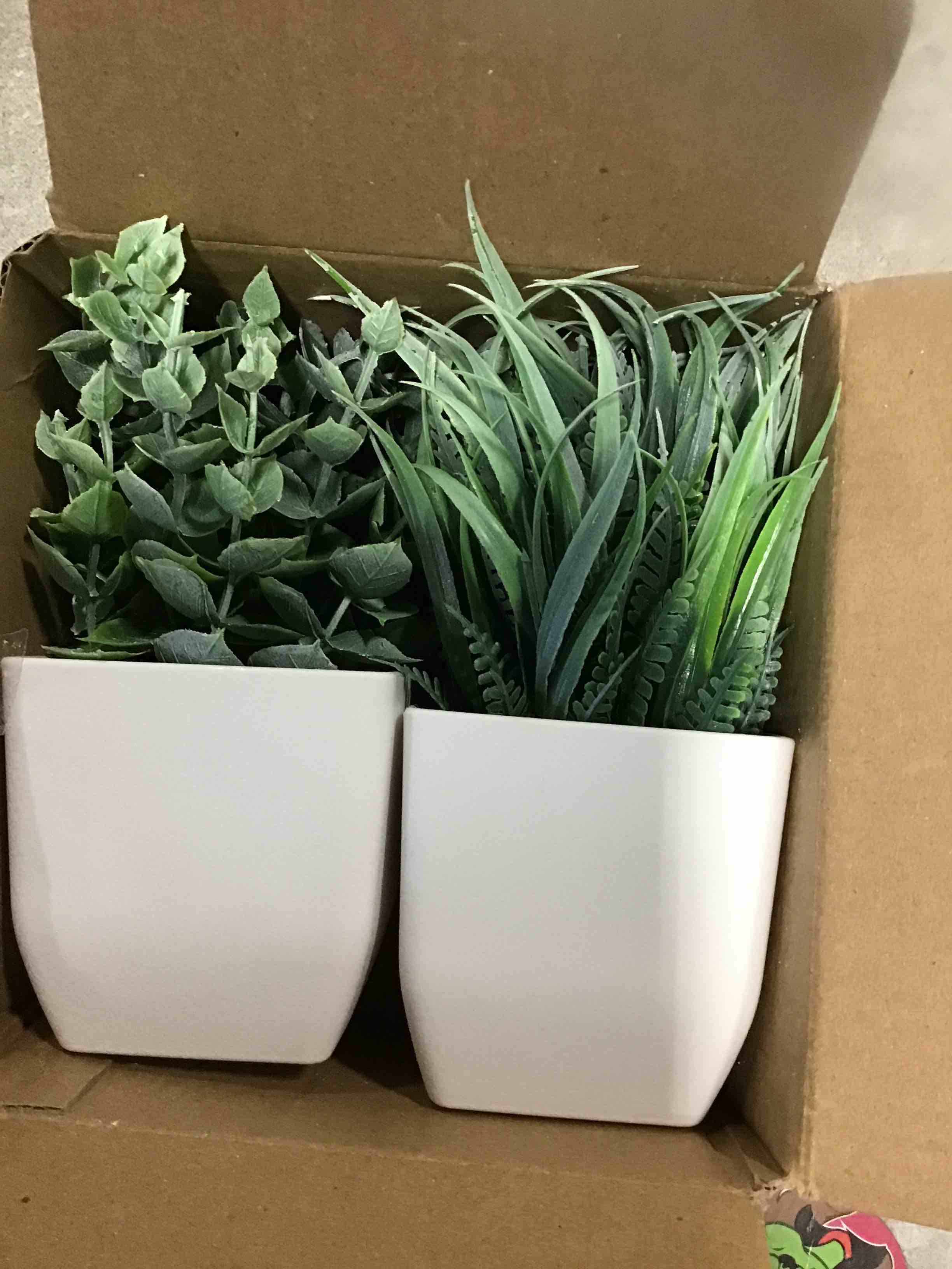 https://s3.amazonaws.com/lotting-images-prod/bidfta/PNK2160506_1737121292498.jpeg