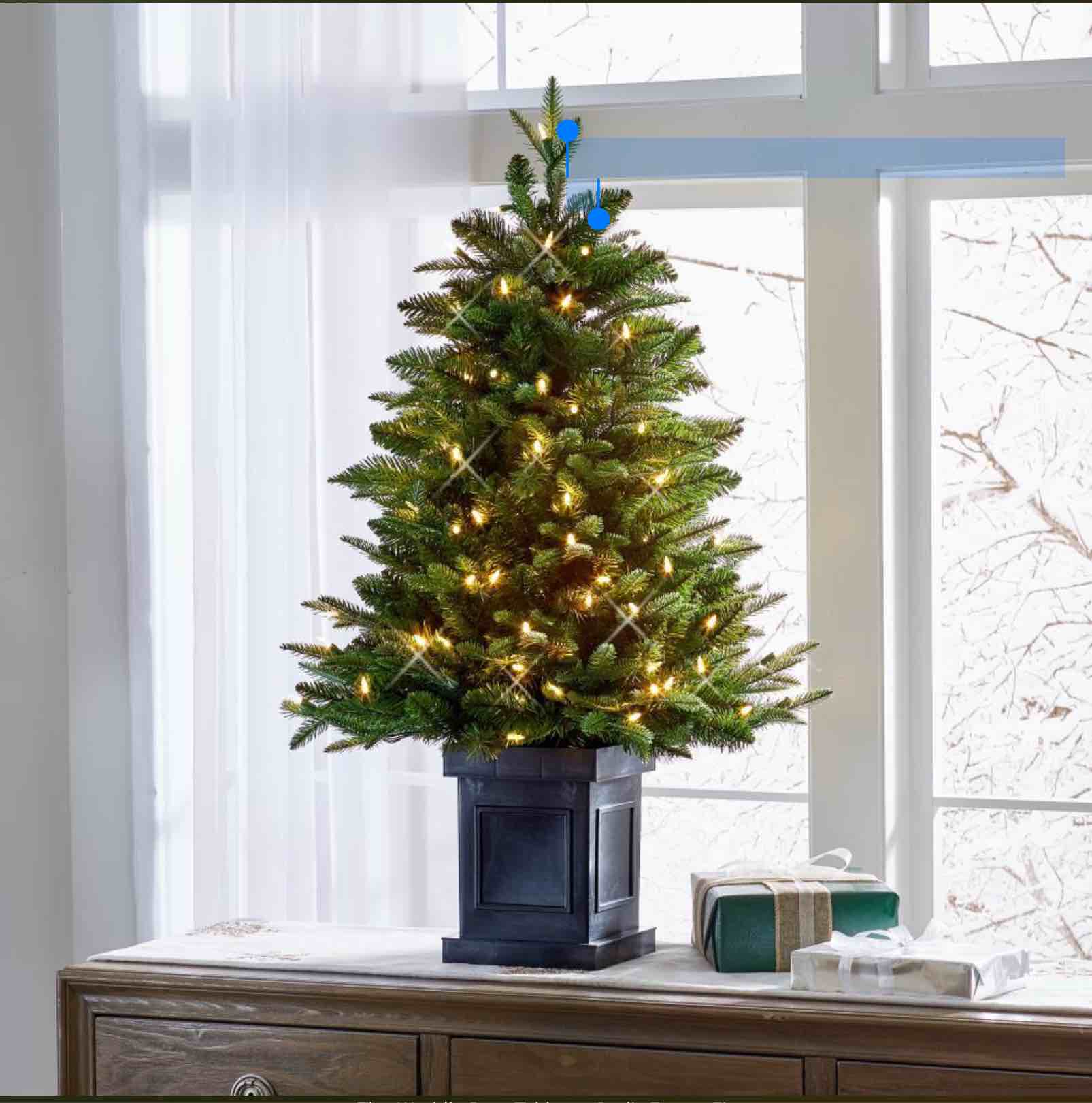The World's Best Tabletop Prelit Fraser Fir