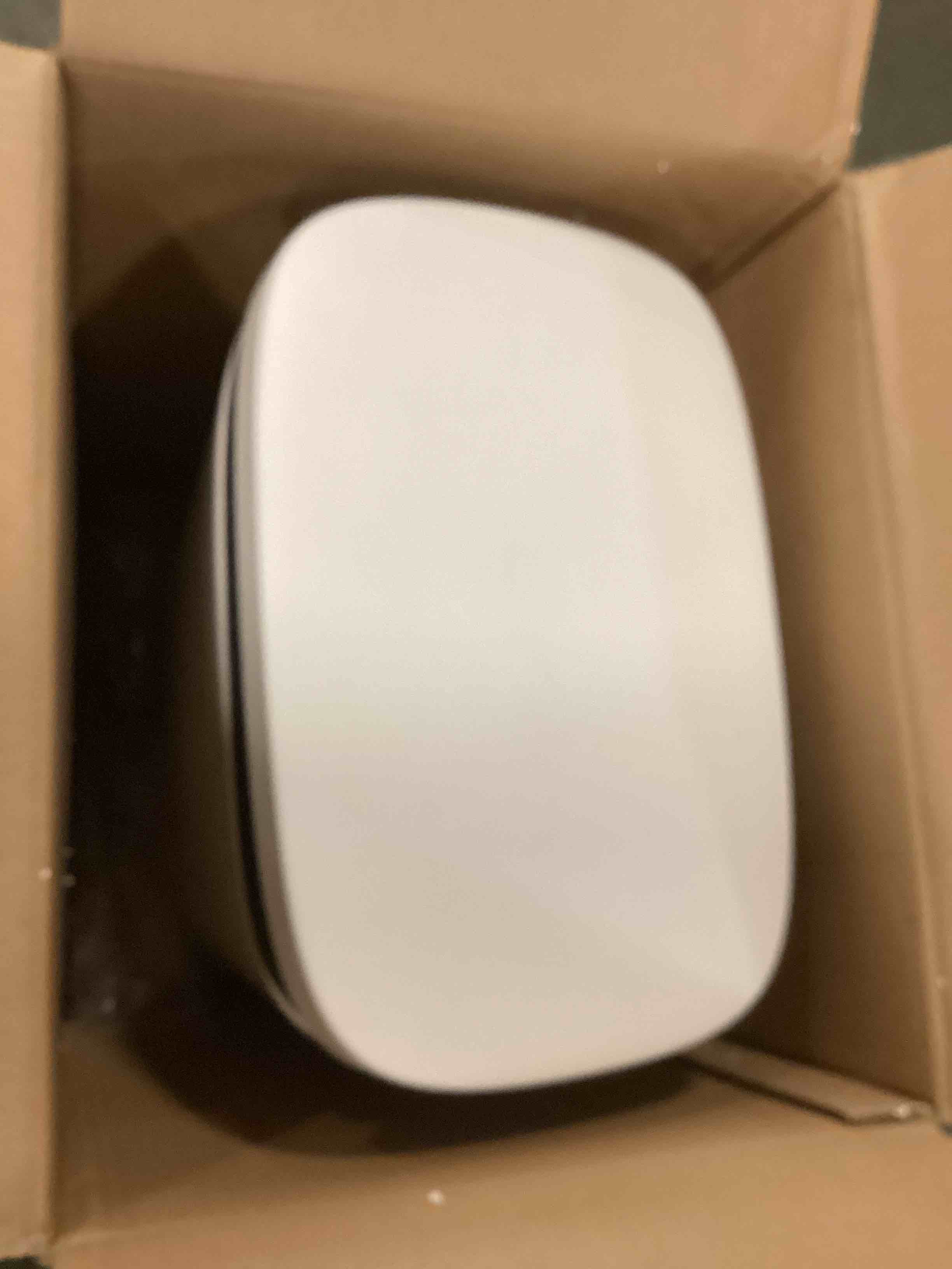 https://s3.amazonaws.com/lotting-images-prod/bidfta/PNK2193544_1745498654780.jpeg