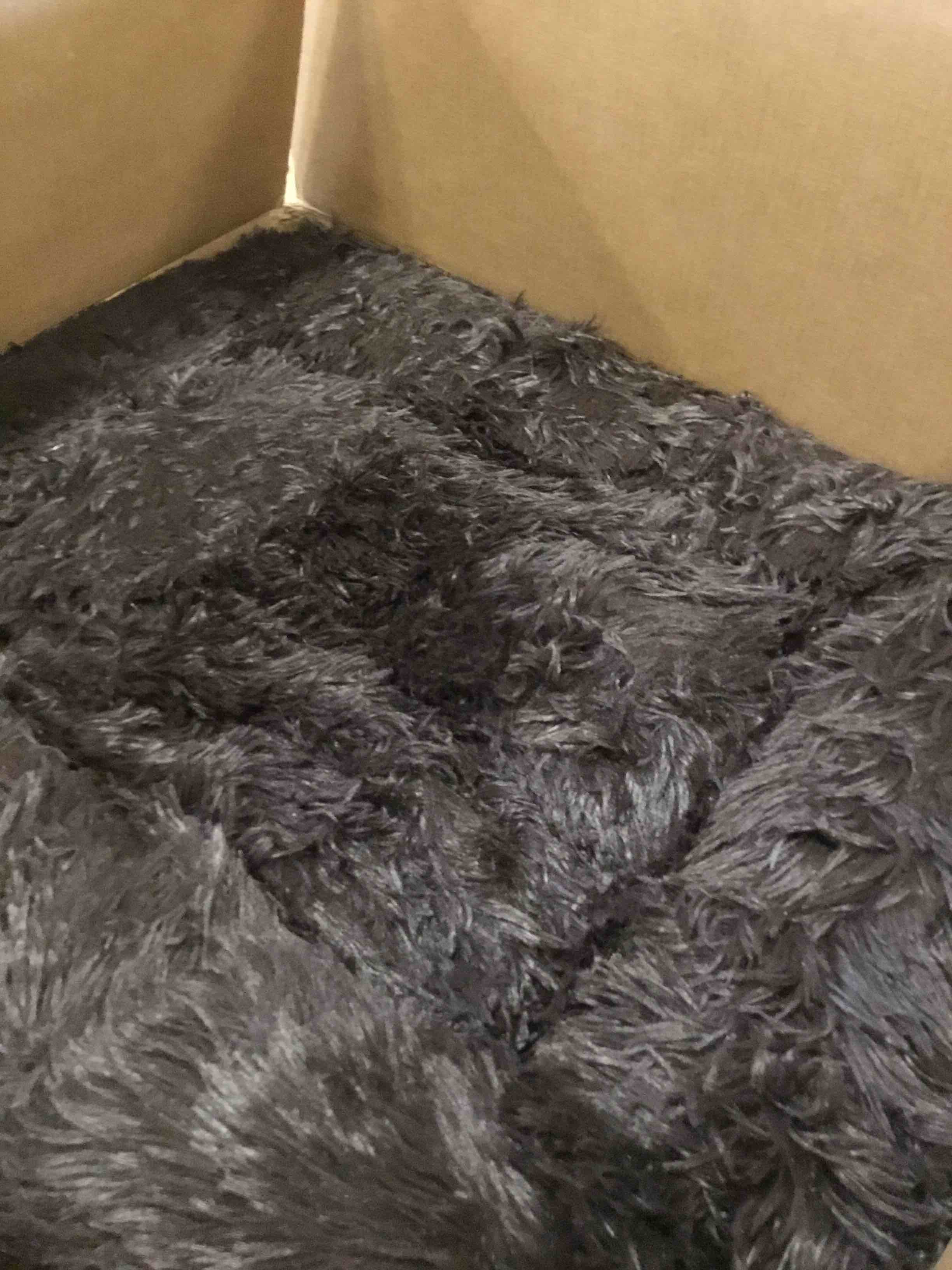 https://s3.amazonaws.com/lotting-images-prod/bidfta/PNK2197898_1743004400233.jpeg