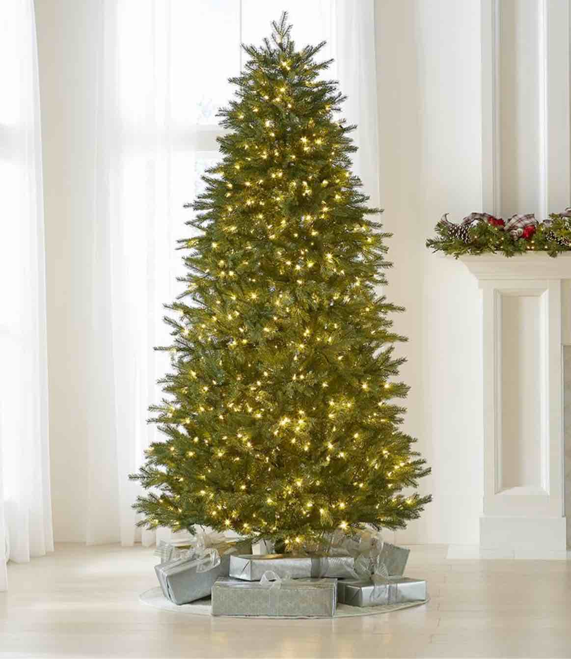 The World's Best Prelit Concolor Fir