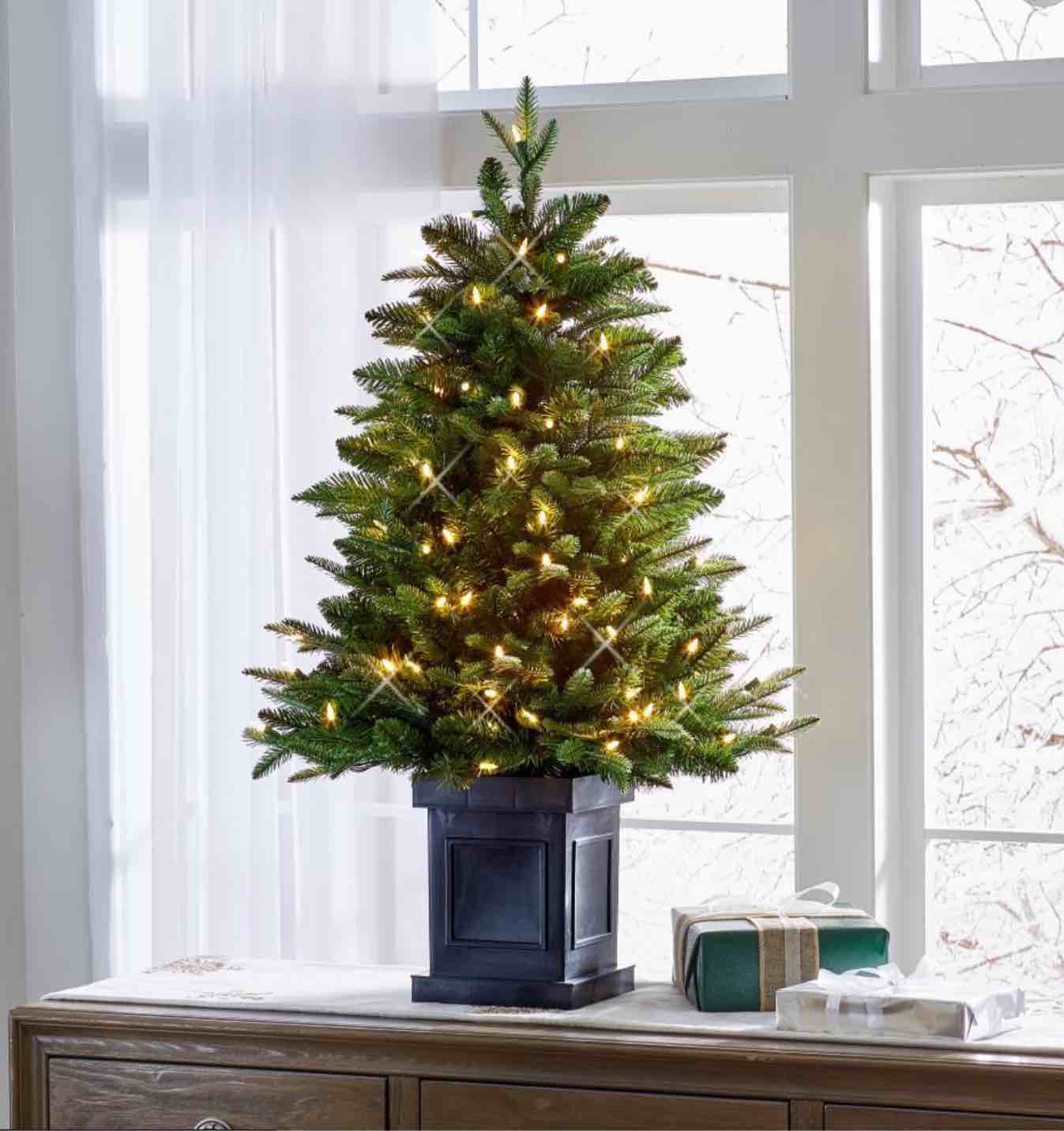The World's Best Tabletop Prelit Fraser Fir No size