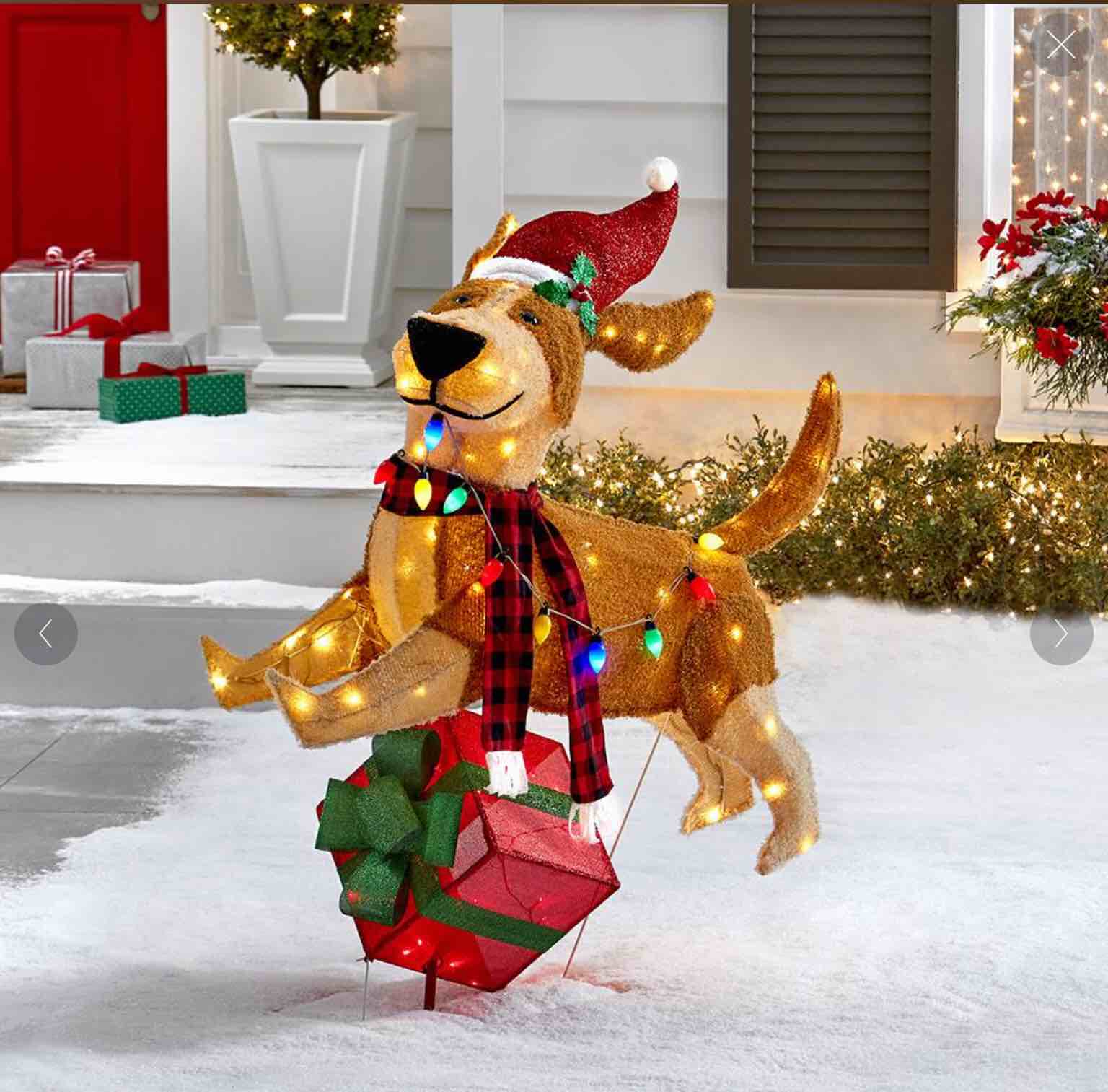 The Jolly Jumping Christmas Pup