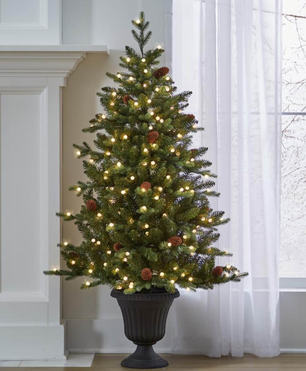 the potted 5' prelit pinecone spruce 5 ft prelit 
