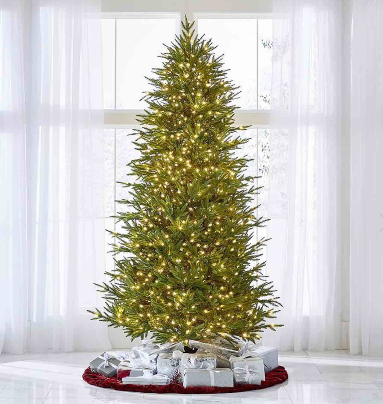 The World's Best Prelit Fraser Fir 8;5 Ft 