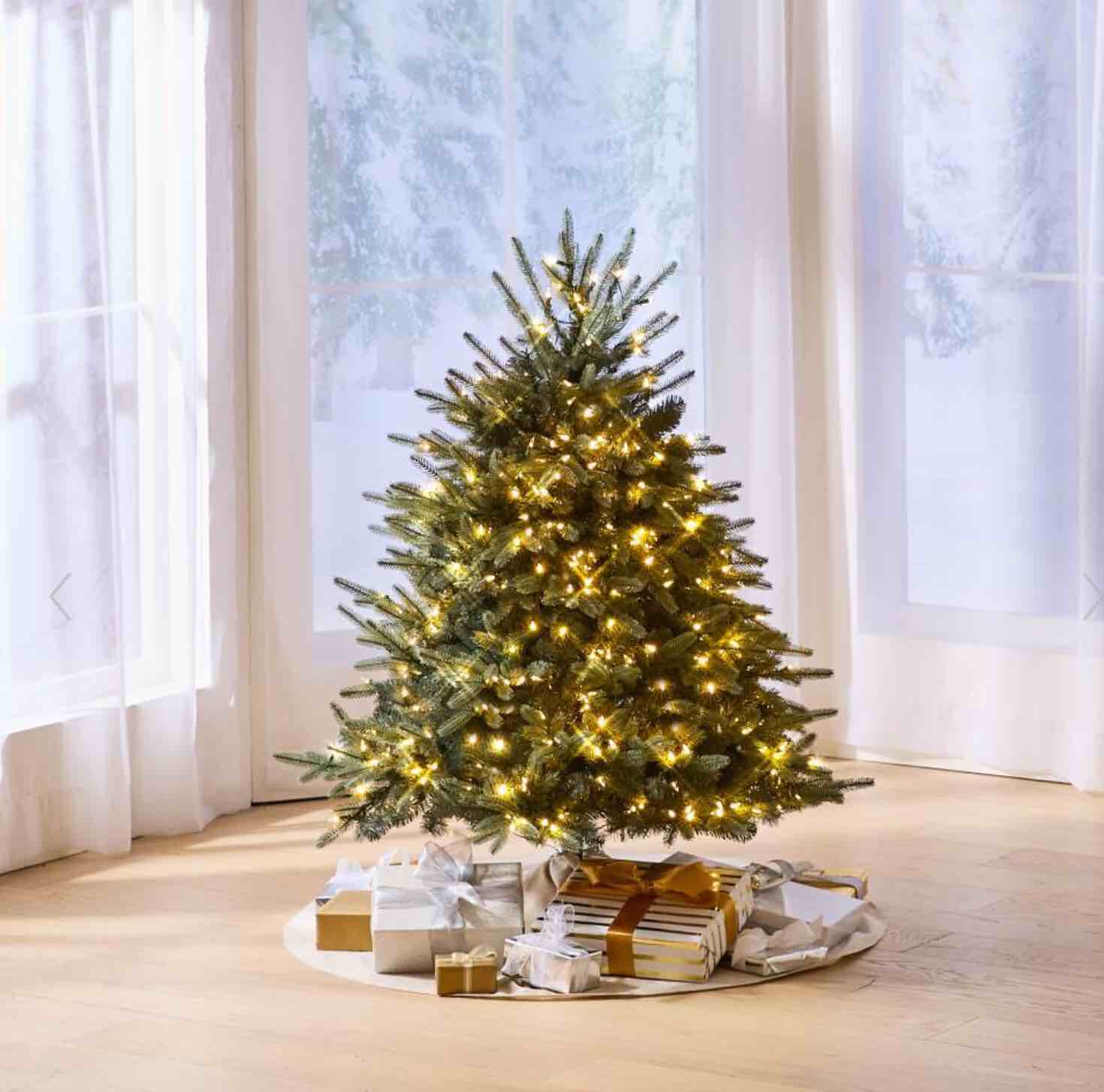 the world's best prelit blue spruce