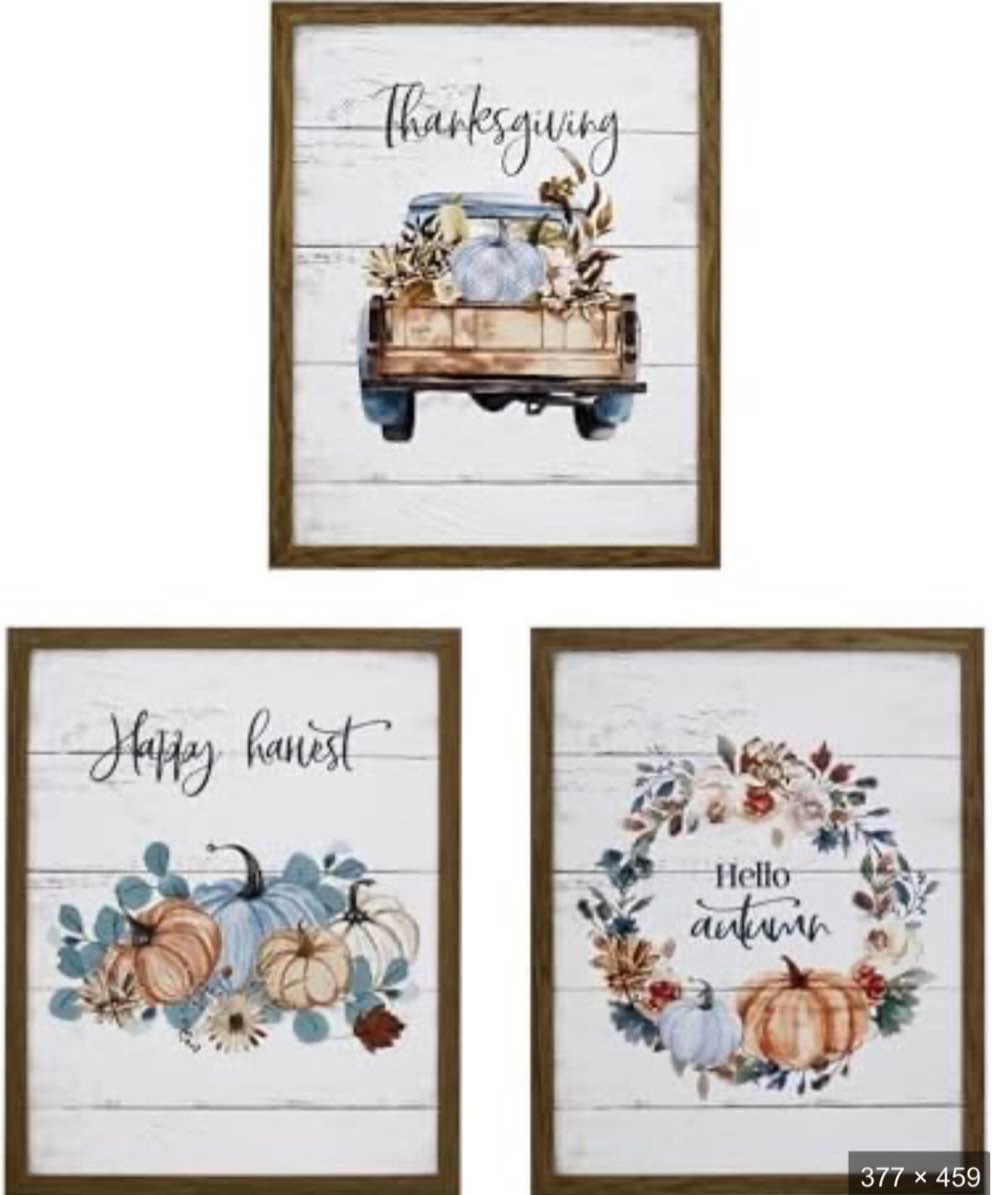 Artby Hannah 3 Pack 11 x 14” Harvest Pumpkin Pattern Wall Frame 