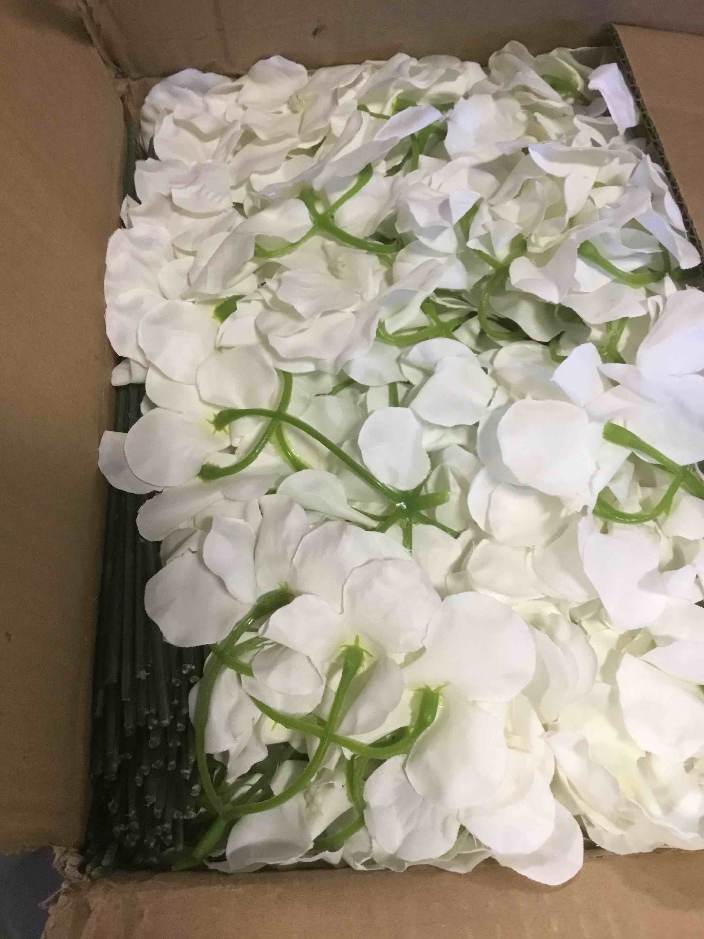 https://s3.amazonaws.com/lotting-images-prod/bidfta/PNK2293121_1738002785150.jpeg