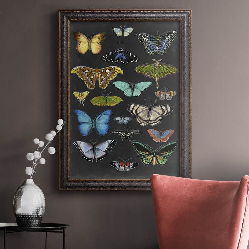 Graphic Butterfly Taxonomy I "Size 12? × 19
