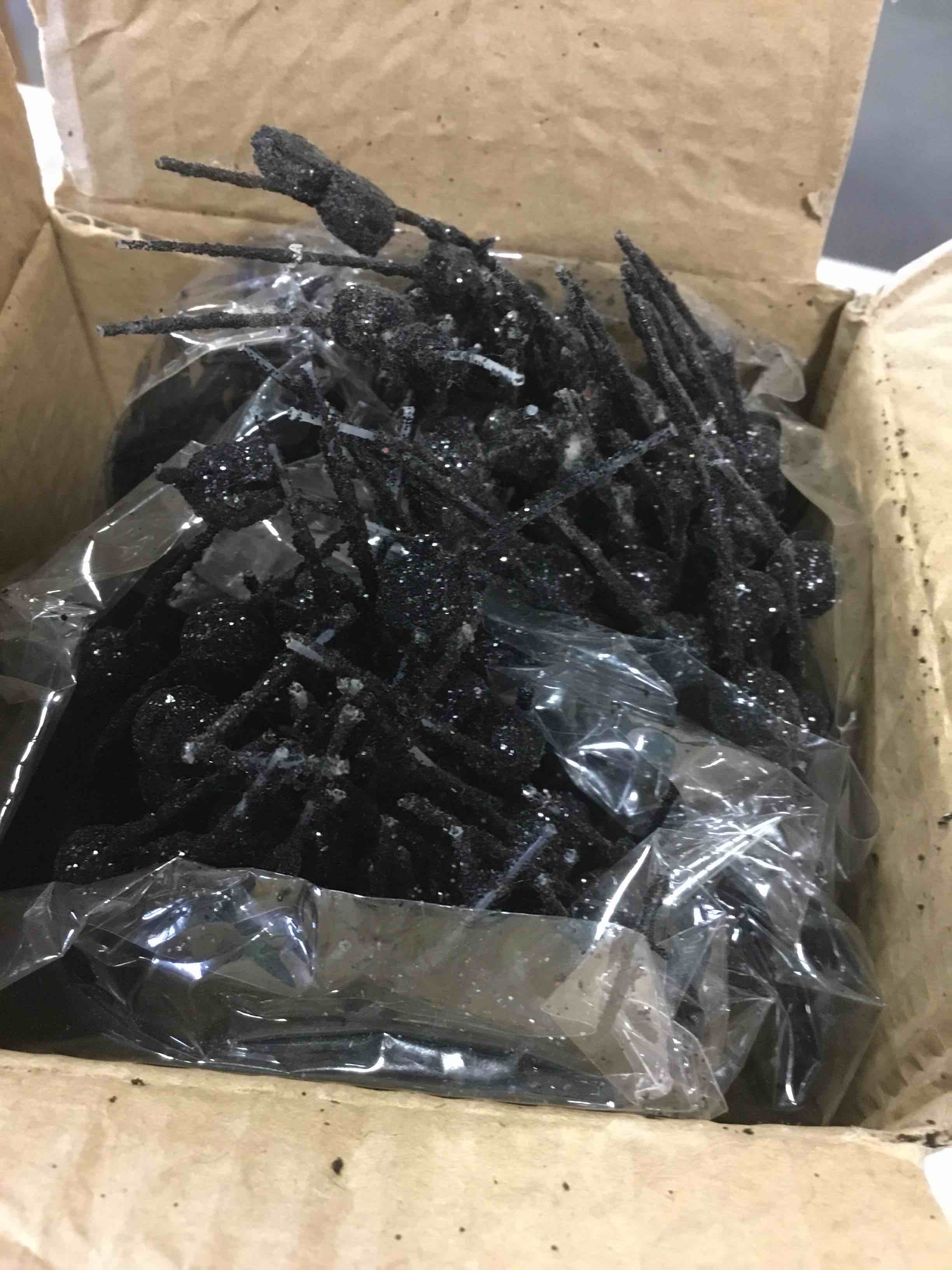 https://s3.amazonaws.com/lotting-images-prod/bidfta/PNK2321195_1742993735342.jpeg