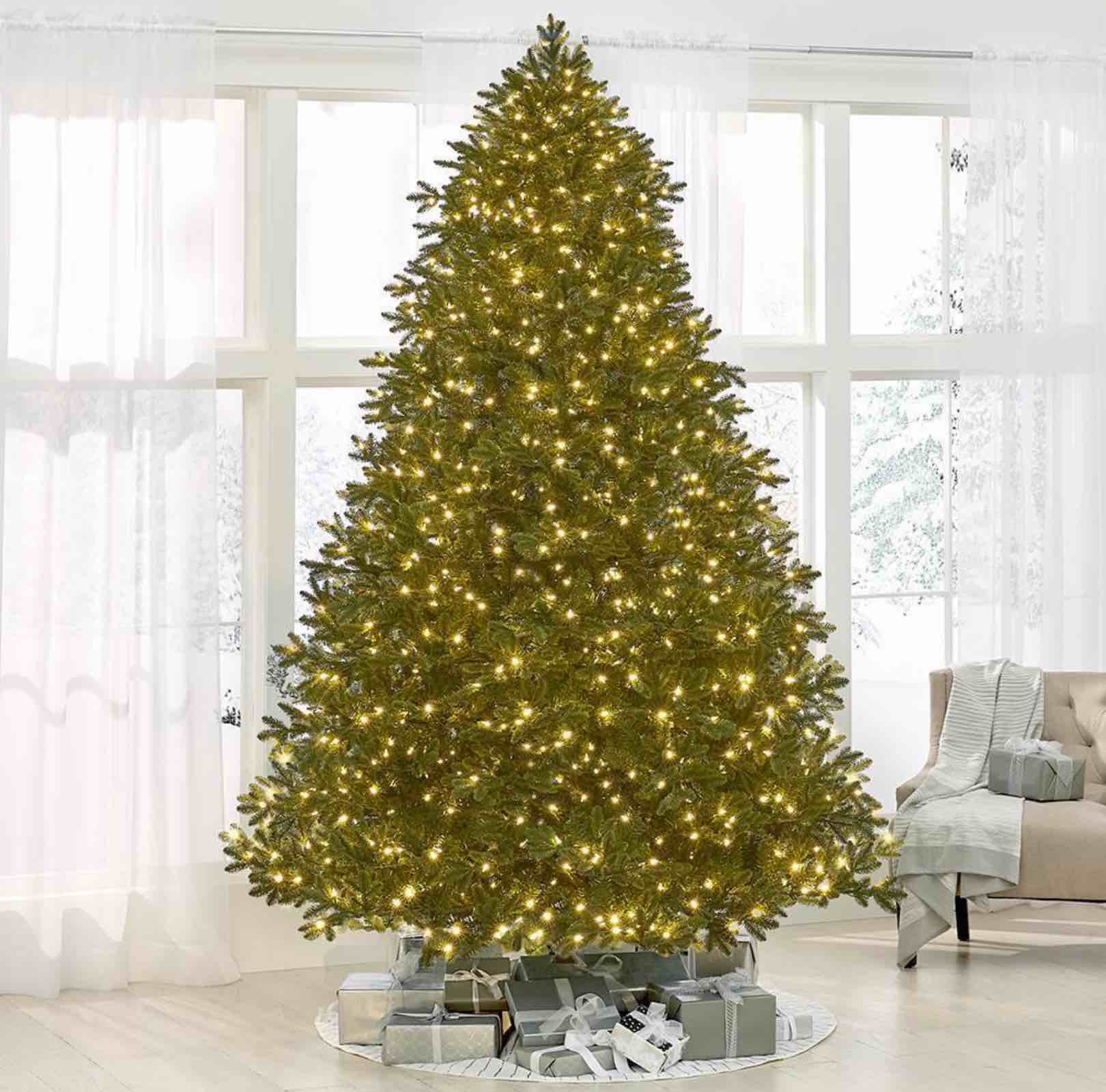 The World's Best Prelit LED Noble Fir