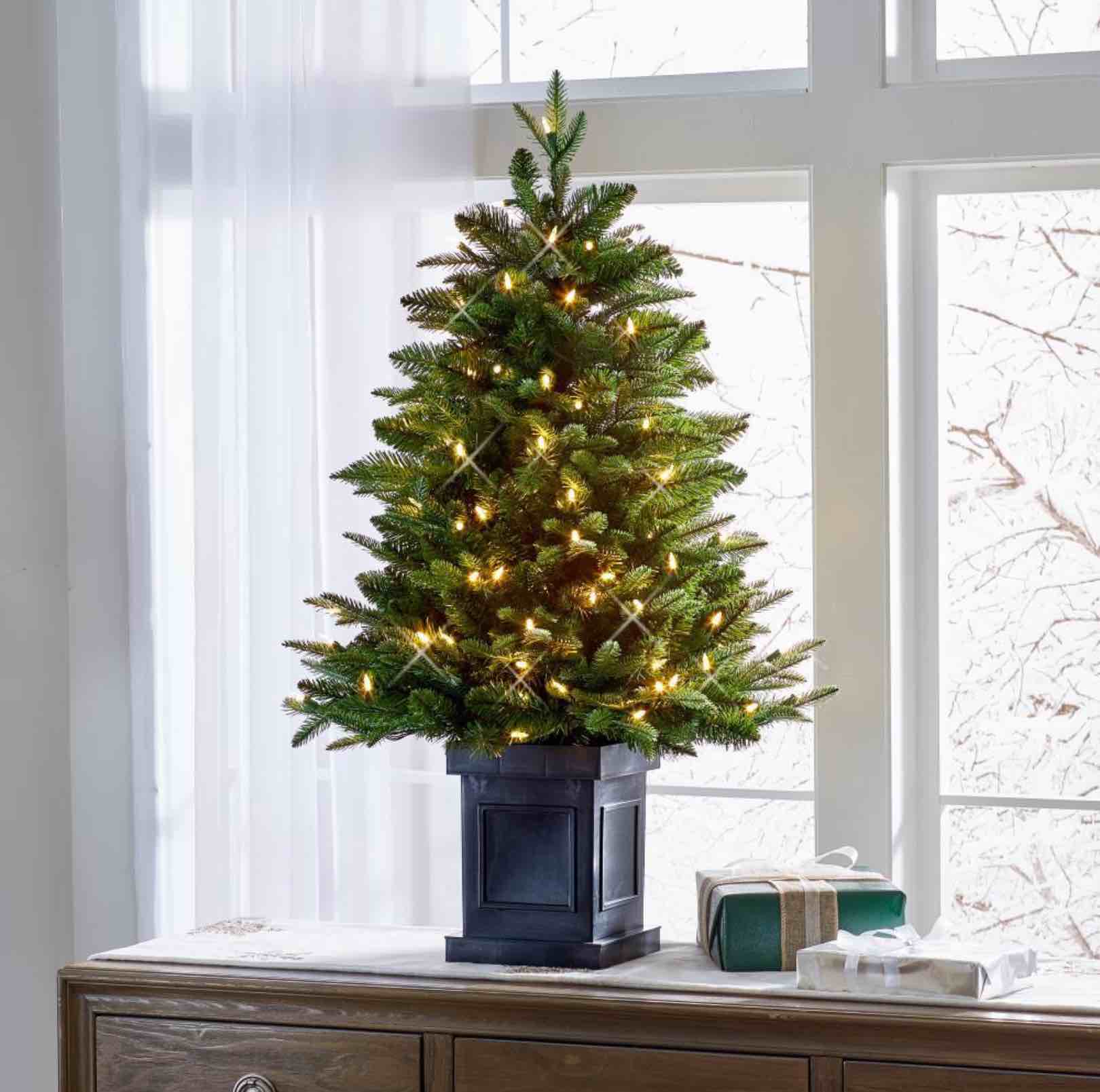 The World's Best Tabletop Prelit Fraser Fir