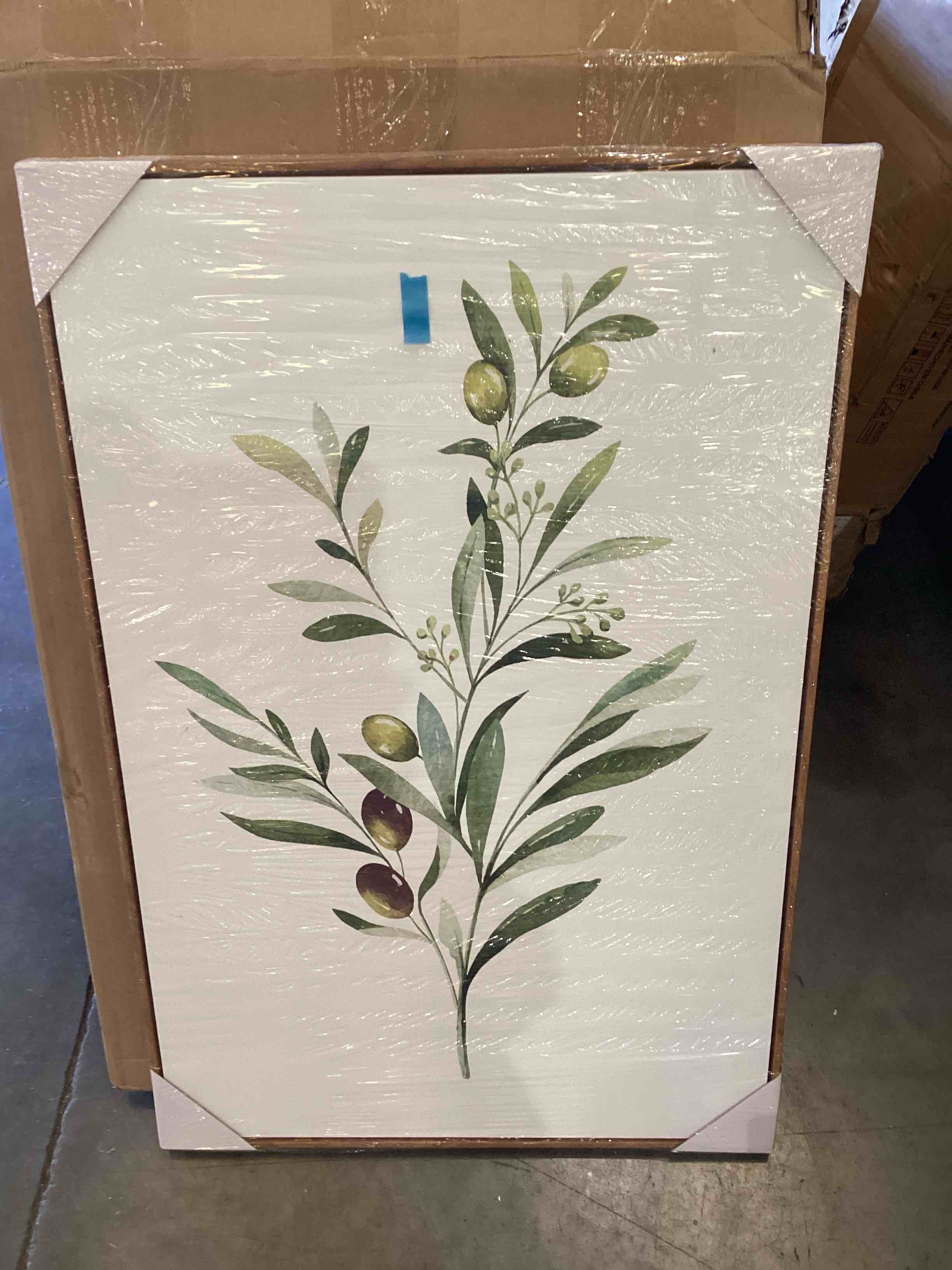 wall26 framed canvas print wall art olives on green watercolor branch floral botanical illustrations modern rustic zen relax/calm multicolor for living room, bedroom, office - 16x24 natural