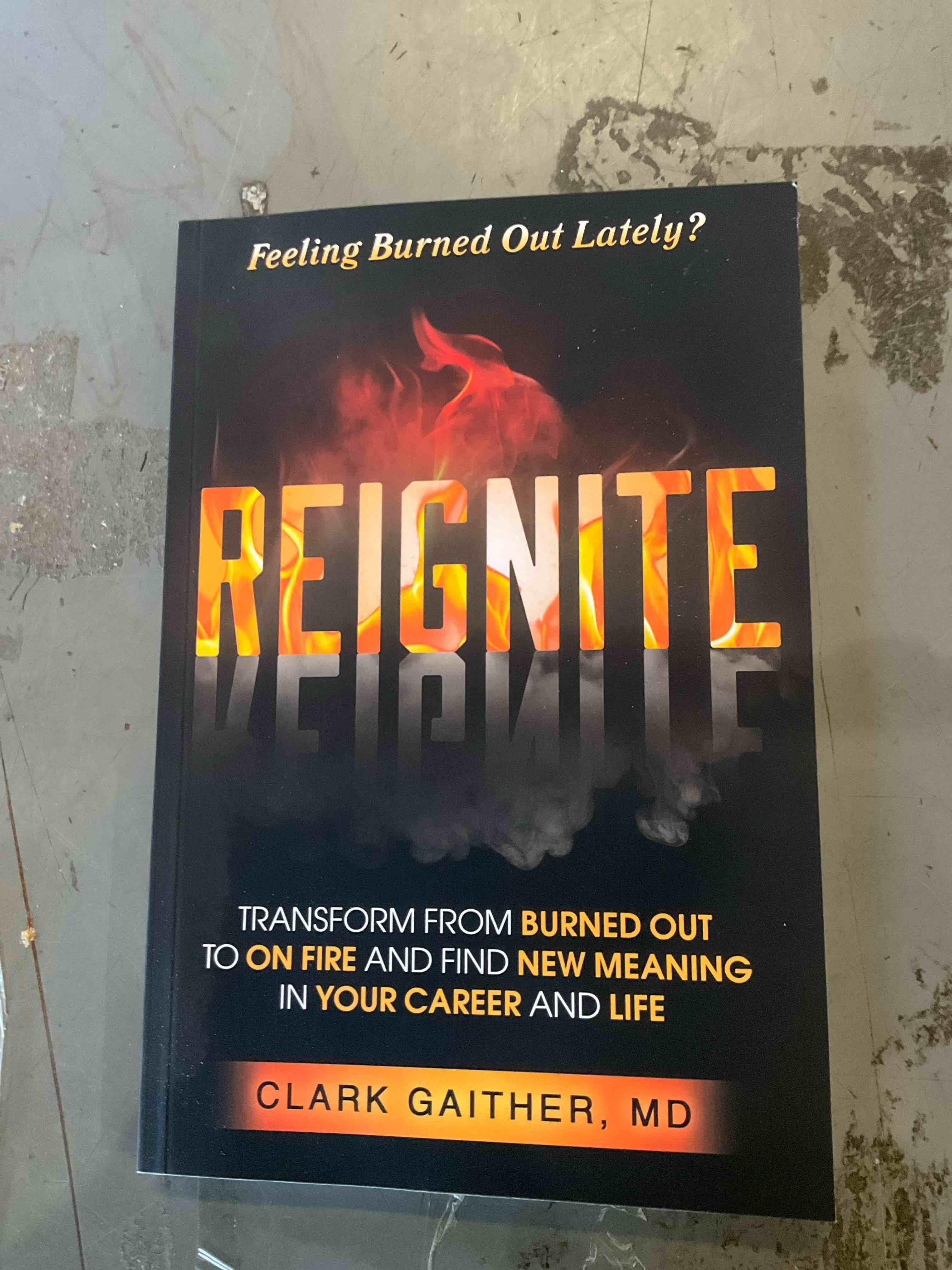 REIGNITE: Transform from Burned Out to On Fire and Find New Meaning in Your Career and Life