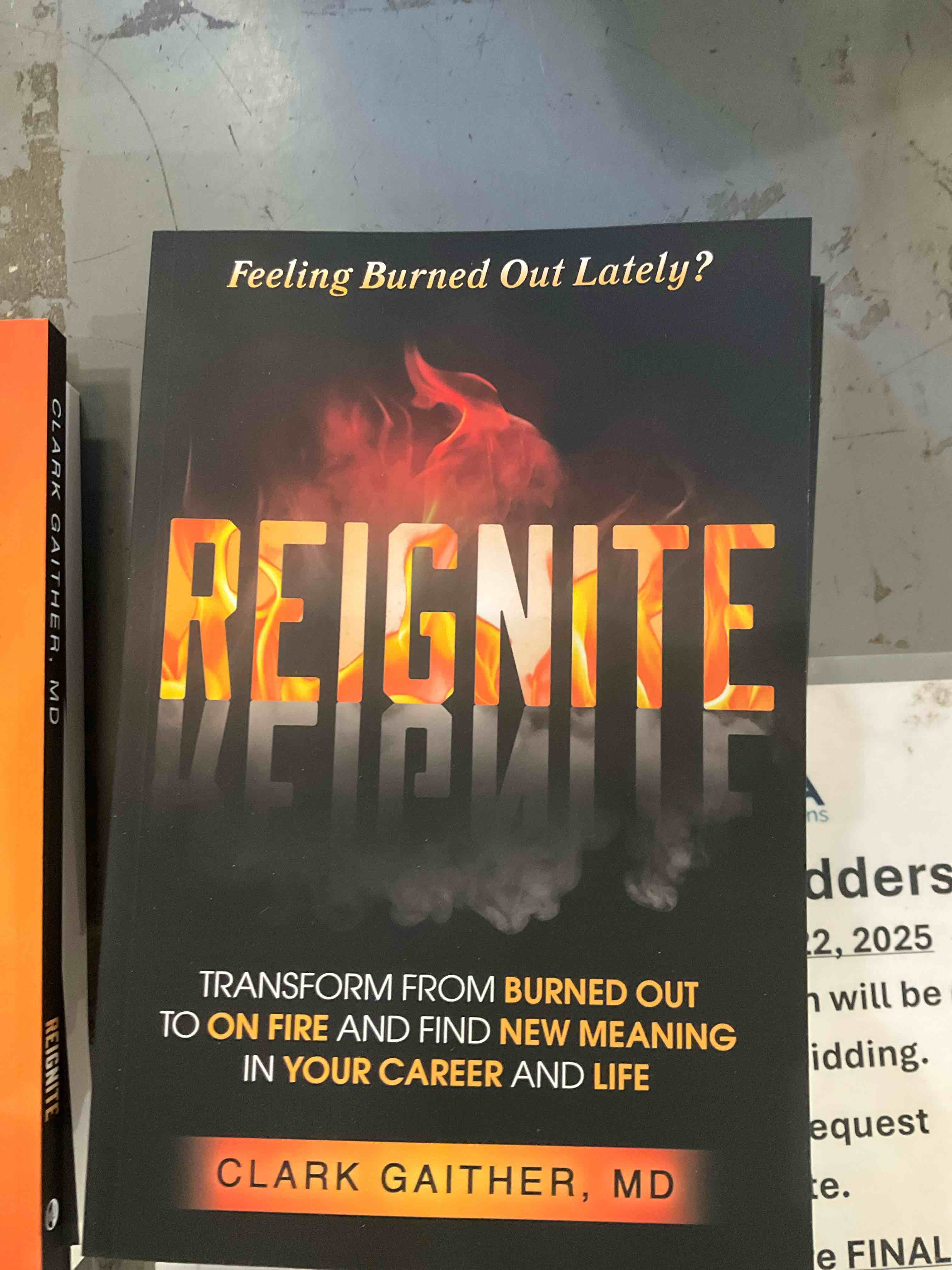 REIGNITE: Transform from Burned Out to On Fire and Find New Meaning in Your Career and Life