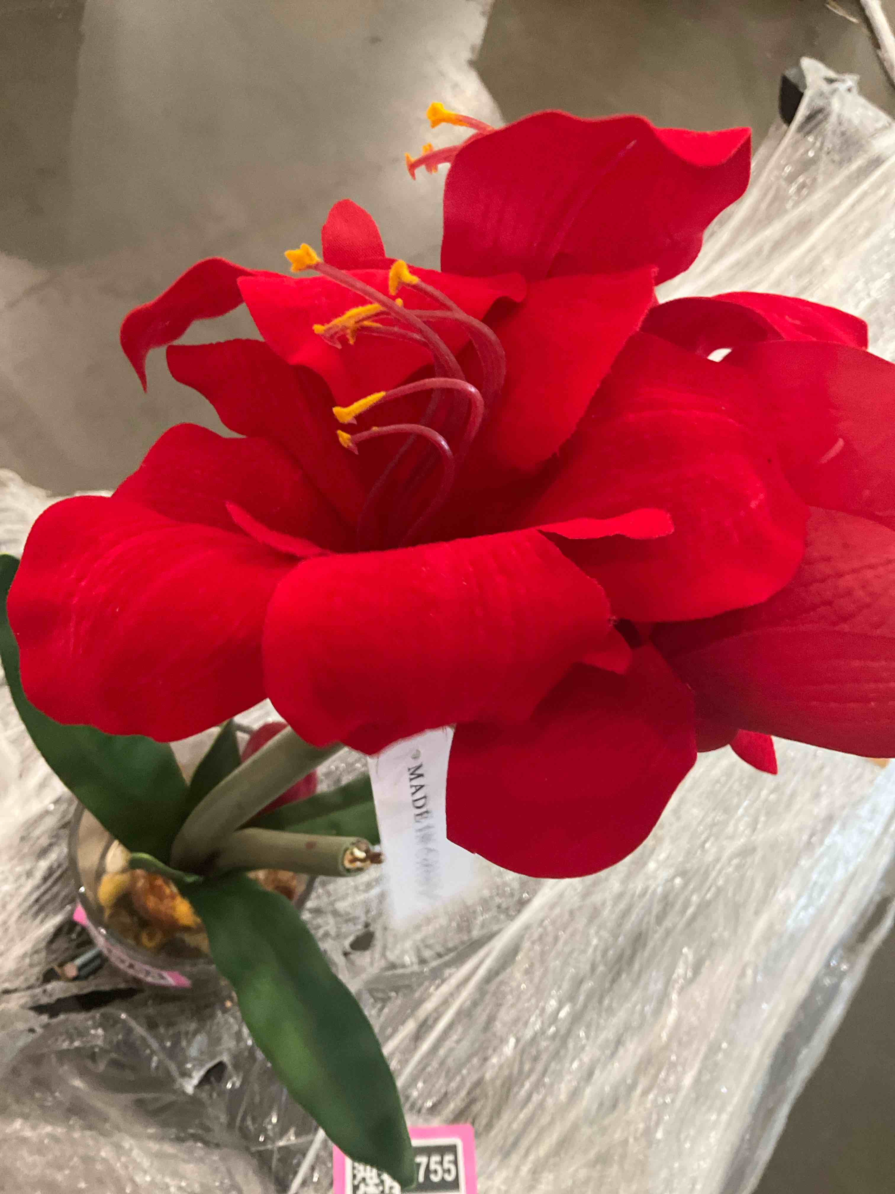 Nearly Natural Amaryllis with Round Vase