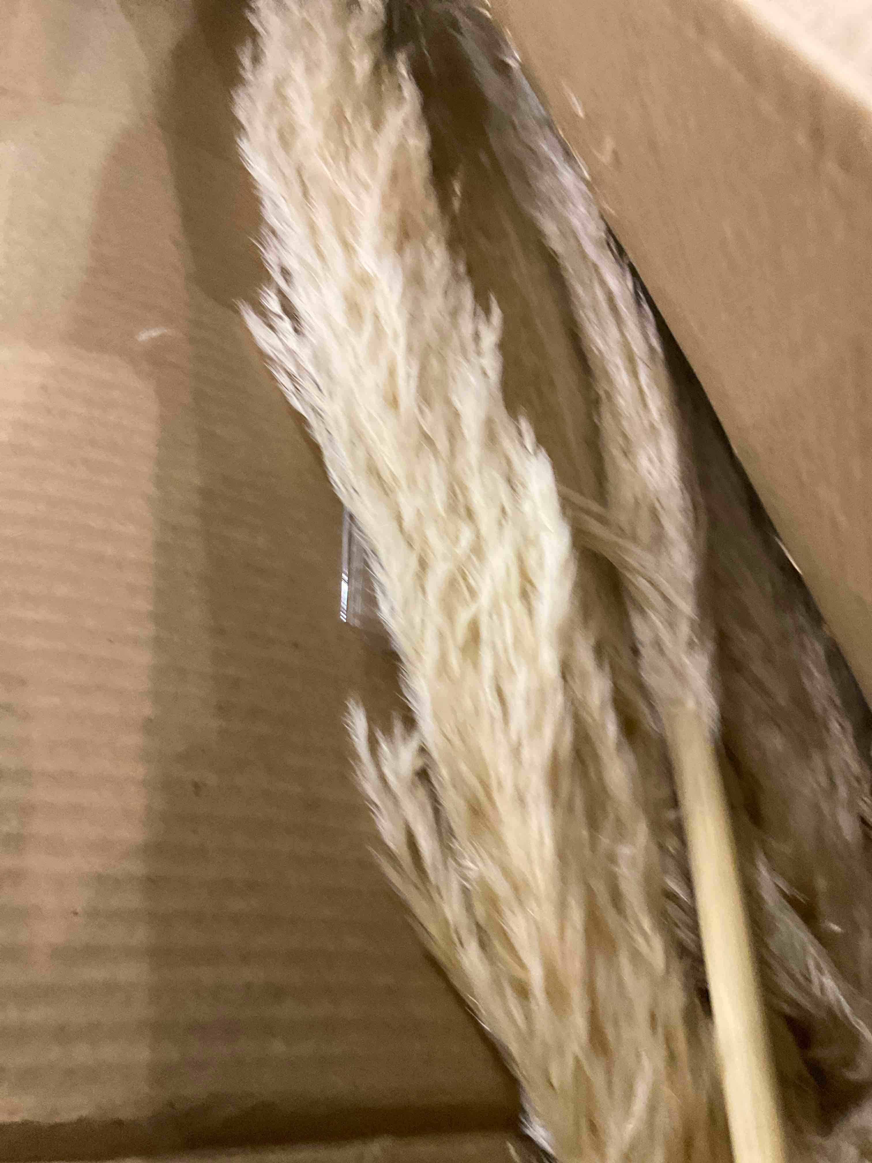 https://s3.amazonaws.com/lotting-images-prod/bidfta/PNK2476452_1751283462660.jpeg
