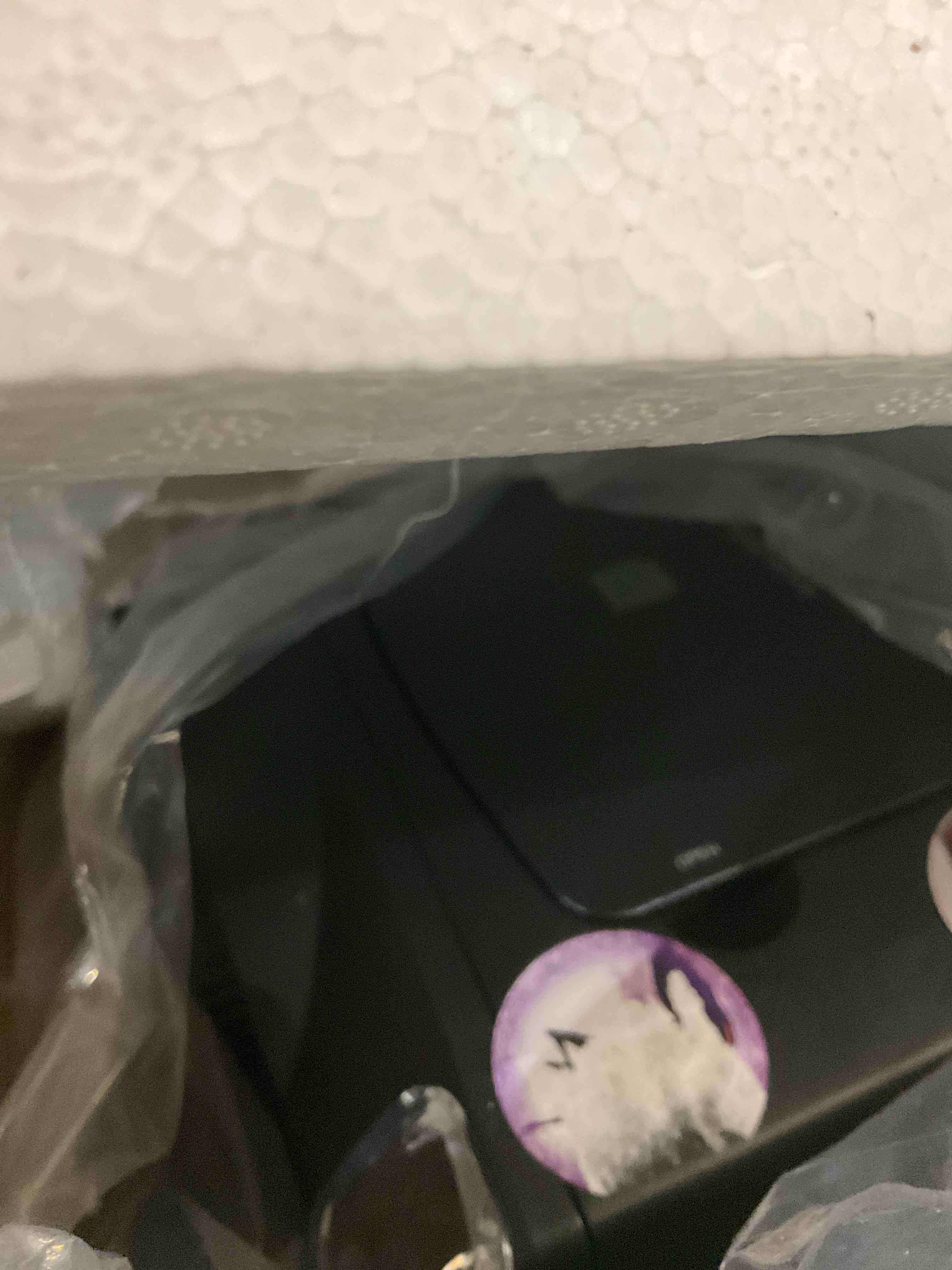https://s3.amazonaws.com/lotting-images-prod/bidfta/PNK2483870_1752073894764.jpeg