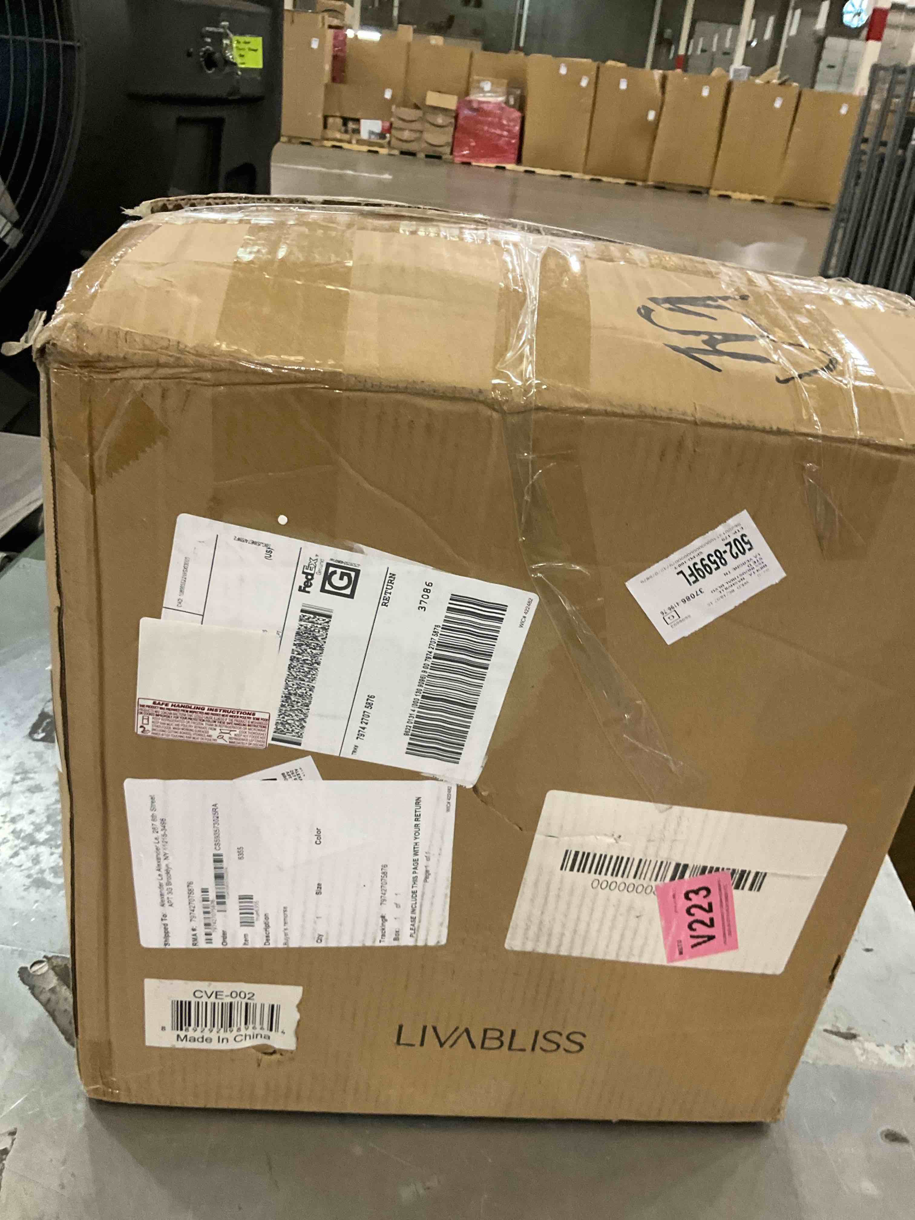 Fragile Table Lamp