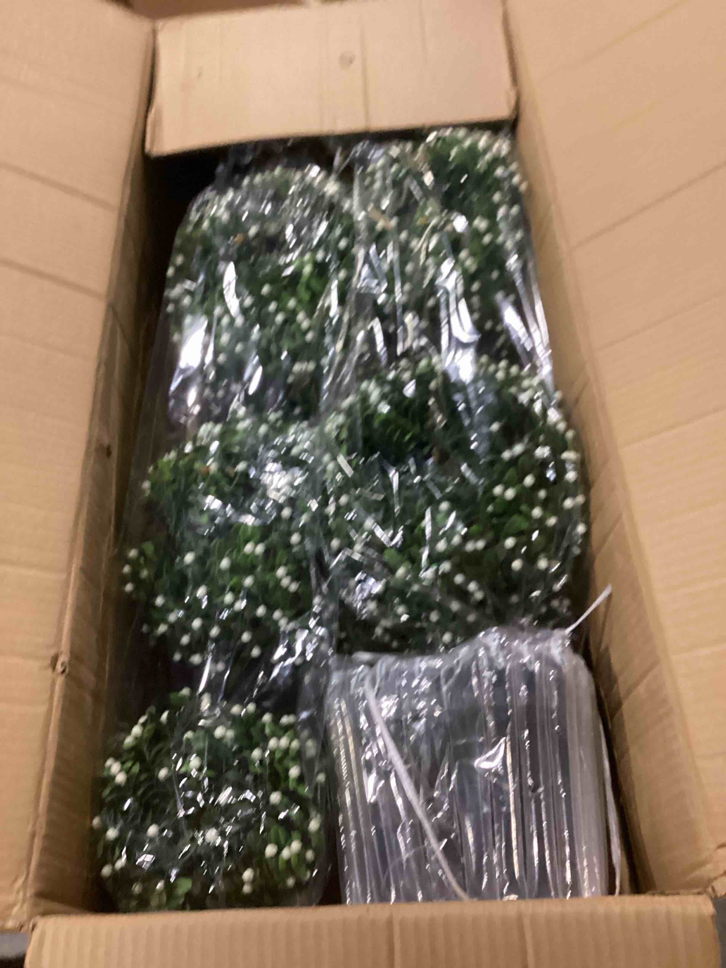 https://s3.amazonaws.com/lotting-images-prod/bidfta/PNK2542755_1746791484323.jpeg