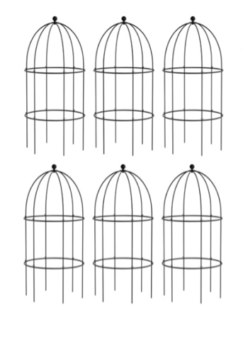 Mieke Bird Cage Plant Support, Large Sturdy Grow-Through Steel Flower Support Trellis