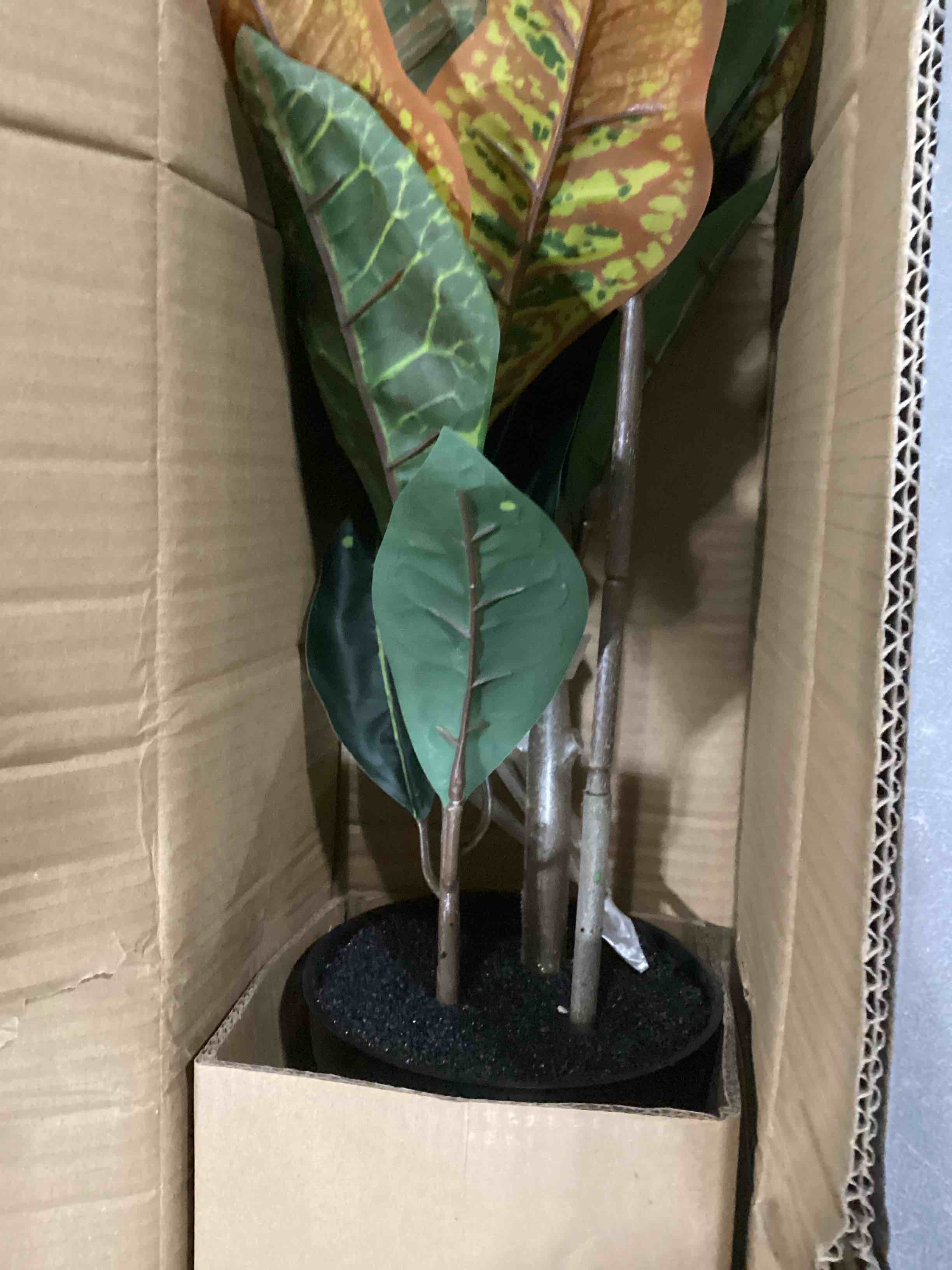 https://s3.amazonaws.com/lotting-images-prod/bidfta/PNK2558380_1746463513553.jpeg