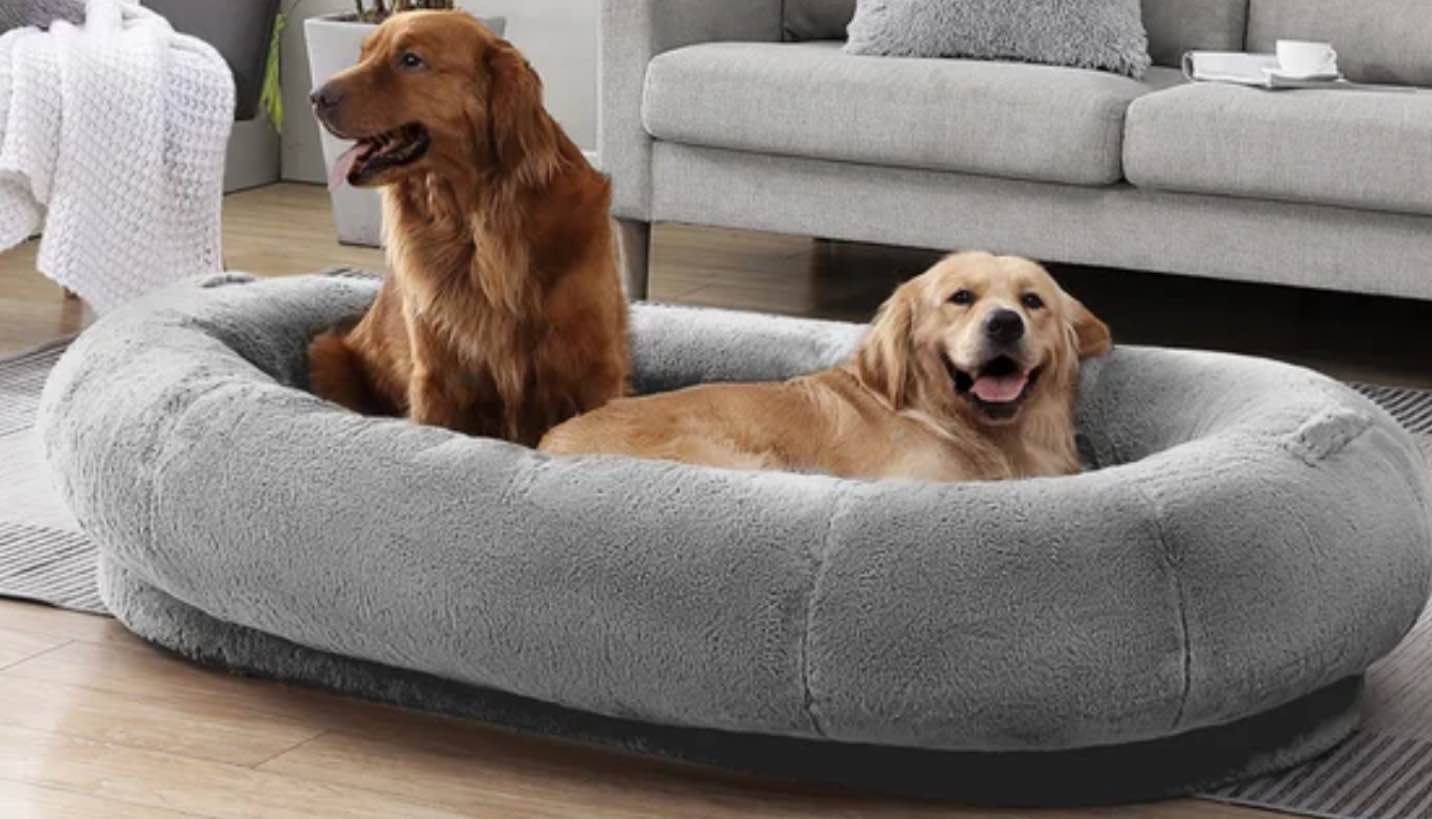 Canine Creations by Arlee Home & Pet Napper Ultimate Pet Bed